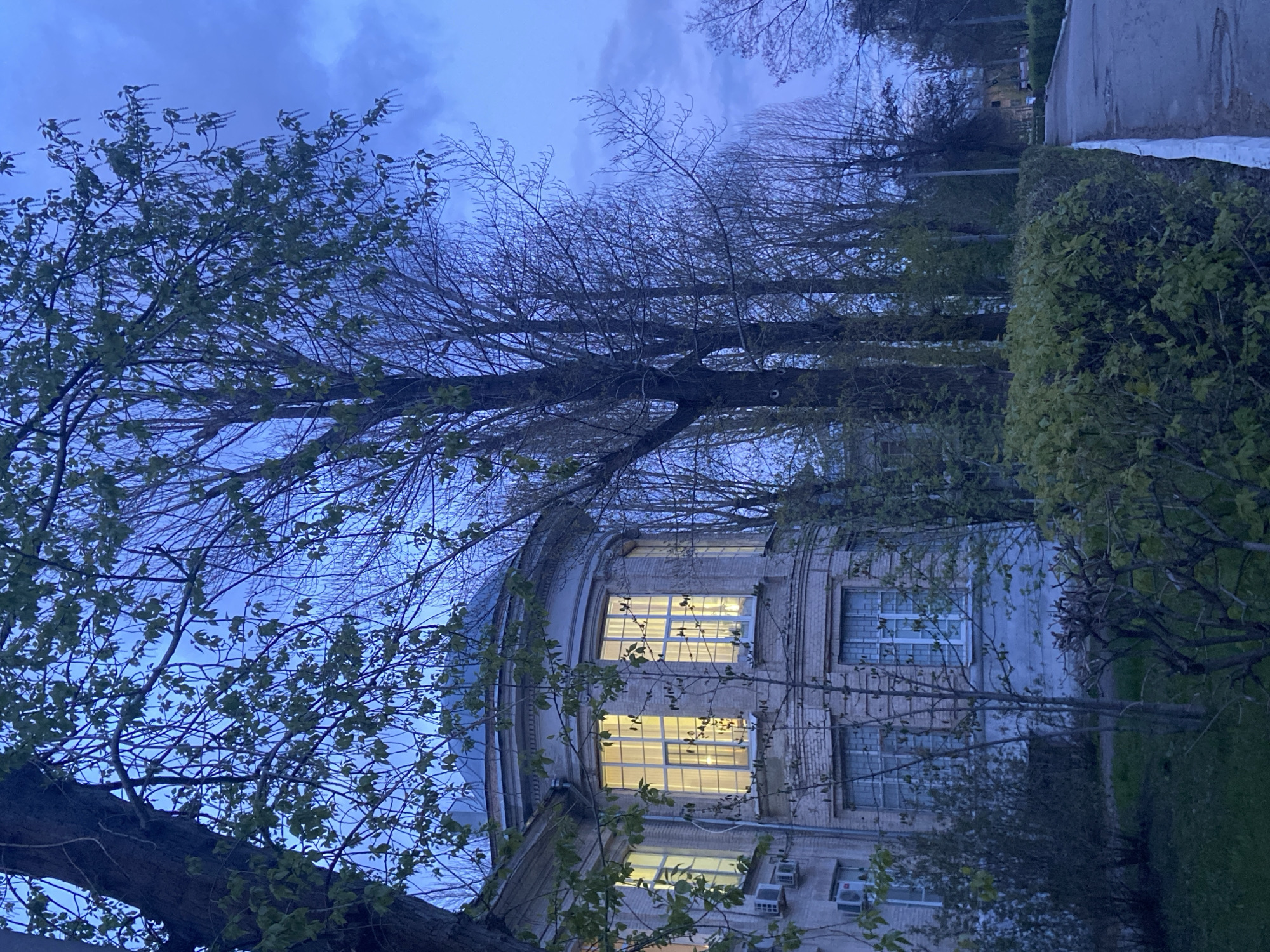 The image presents an exterior view of a building in Saratov, Russia, captured at dusk or night. A dark, cloudy blue sky dominates the upper portion of the frame. In the foreground and midground, various trees with branches, some adorned with fresh green leaves and others bare, partially obscure the main subject.
The central subject is a multi-story brick building with a prominent rounded section on its left. Several windows in this rounded part, and others on the building, are brightly illuminated with a warm, yellow light, indicating that interior lights are switched on. Some windows feature visible blinds or grilles. Air conditioning units are mounted on the lower exterior walls of the building. The architecture suggests a well-established, possibly institutional or older residential structure.
To the right of the building, a dense, trimmed green hedge runs alongside a paved pathway or road, which extends towards the background. Patches of green grass are visible near the building's foundation and along the path. No people are visible, and no specific activity is taking place, contributing to a quiet, contemplative atmosphere. The low light and glowing windows create a sense of evening serenity. There is no visible text within the image.