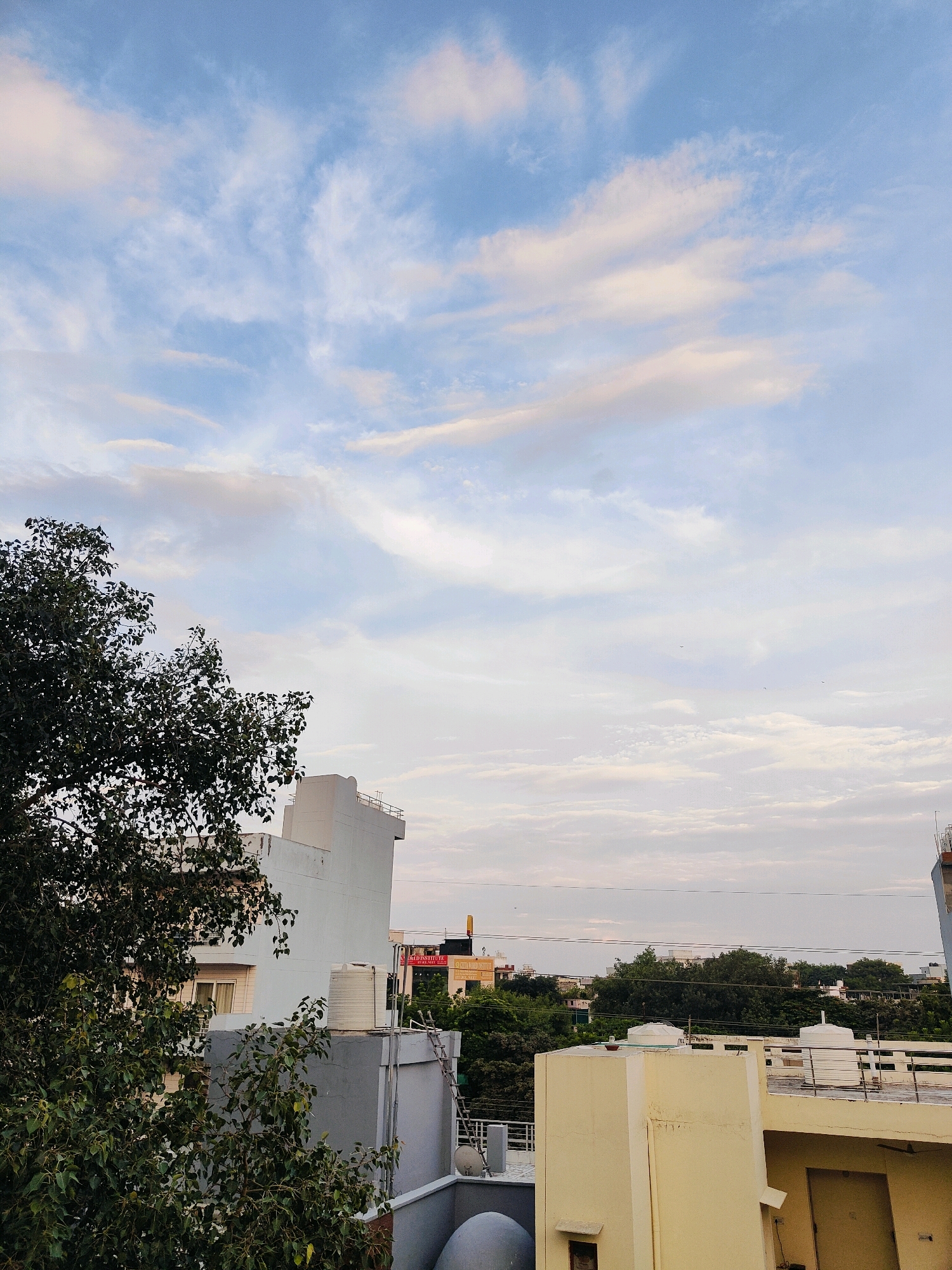 The image depicts a cityscape with a prominent sky filled with wispy, light-colored clouds against a pale blue backdrop. In the foreground, a large, leafy green tree on the left side partially obscures the view of several buildings. These buildings appear to be multi-story structures with flat roofs, some painted in light colors like white and cream. Several water tanks are visible on the rooftops. In the background, more buildings and lush green trees create a dense, urban-meets-nature landscape. Power lines are strung across the upper portion of the scene. The overall impression is of a residential or mixed-use area in a city.
Based on the visual cues such as the architecture, vegetation, and the presence of specific building types like water tanks, this scene is consistent with an urban environment in Gurgaon, India. The style of buildings, the types of trees, and the general urban sprawl are all characteristic of the region.