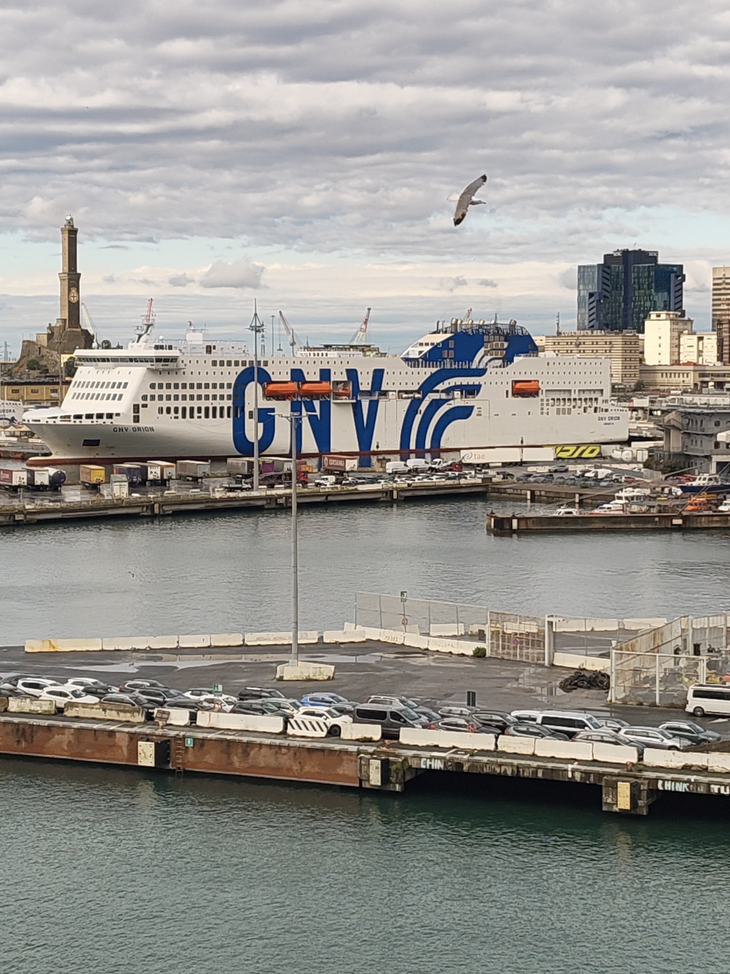 The image depicts a maritime scene in Genoa, Italy. A large white passenger ferry with "GNV" in blue lettering dominates the view. The Genoa Lighthouse, also known as the Lanterna, is visible in the background. In the foreground, cars are parked on a dock. A seagull flies in the sky. Buildings and cranes are visible along the harbor. The sky is overcast.