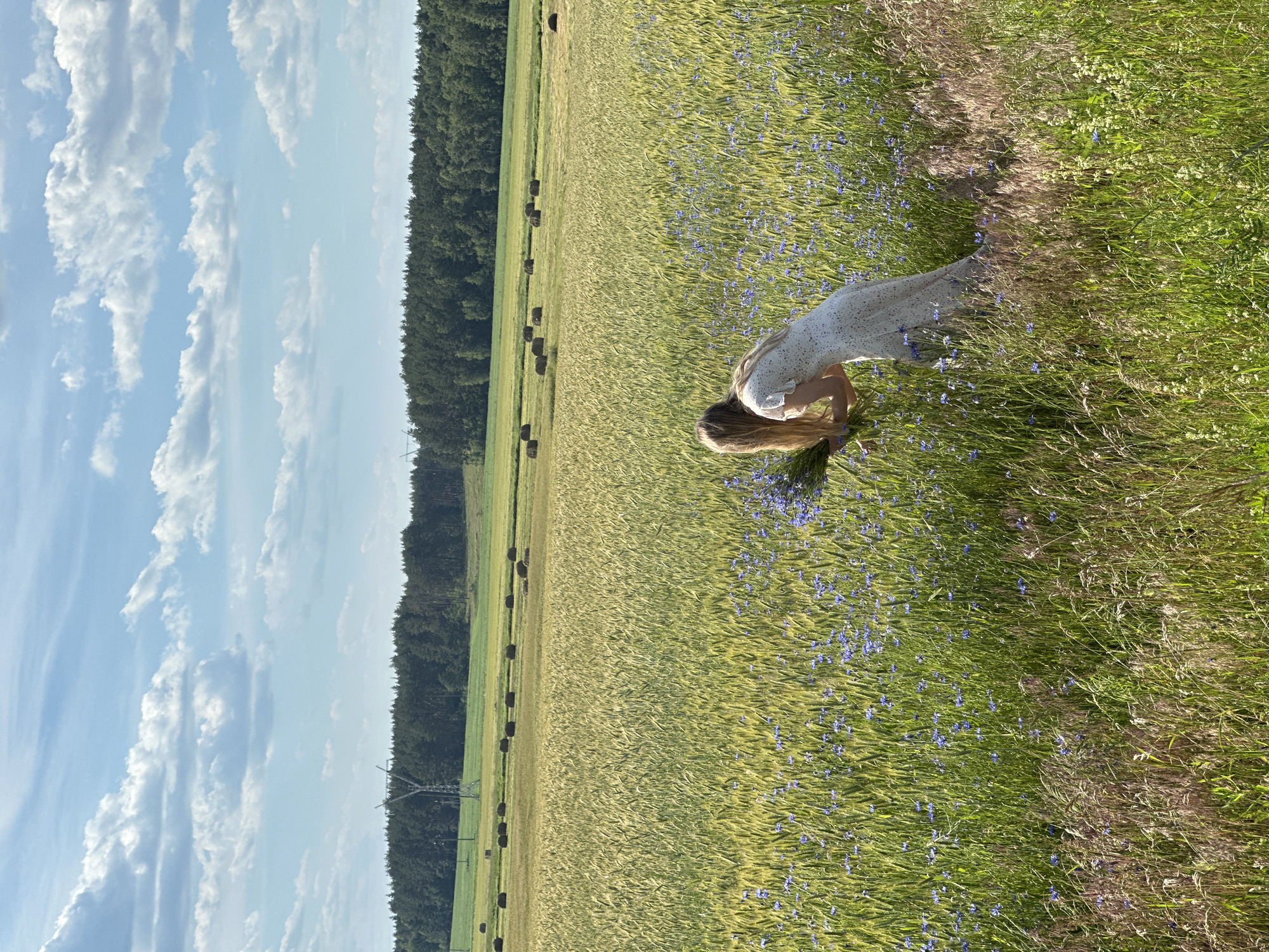 A young woman in a white, floral-patterned dress is bending down in a field of tall grass and wildflowers. She has long, blonde hair and appears to be gathering a bouquet of the purple wildflowers. The field is lush and green, with scattered patches of purple flowers throughout. Behind the field of flowers, there is a field of golden wheat, and beyond that, a dense line of dark green trees. The sky above is a bright blue, dotted with fluffy white clouds. In the distance, there are some dark, round shapes that appear to be hay bales. A power line tower is also visible near the treeline. The scene suggests a warm, sunny day, possibly late afternoon or early evening due to the soft lighting. The overall atmosphere is peaceful and idyllic, evoking a sense of natural beauty and simple enjoyment. The location is identified as Parycki Rural Council, Belarus. There is no visible text in the image.