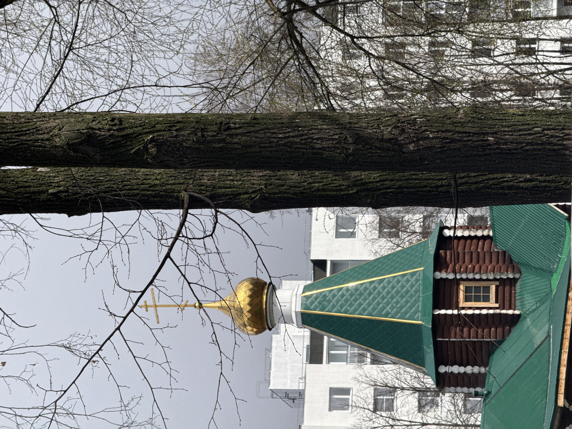 The image features a view of a church steeple and dome in Chaikovsky, Russia, partially obscured by tree branches and trunks. The golden dome is topped with a cross. The steeple is green and brown. A modern white apartment building is visible in the background. The sky is overcast. The trees are bare, suggesting it is late autumn or winter.
