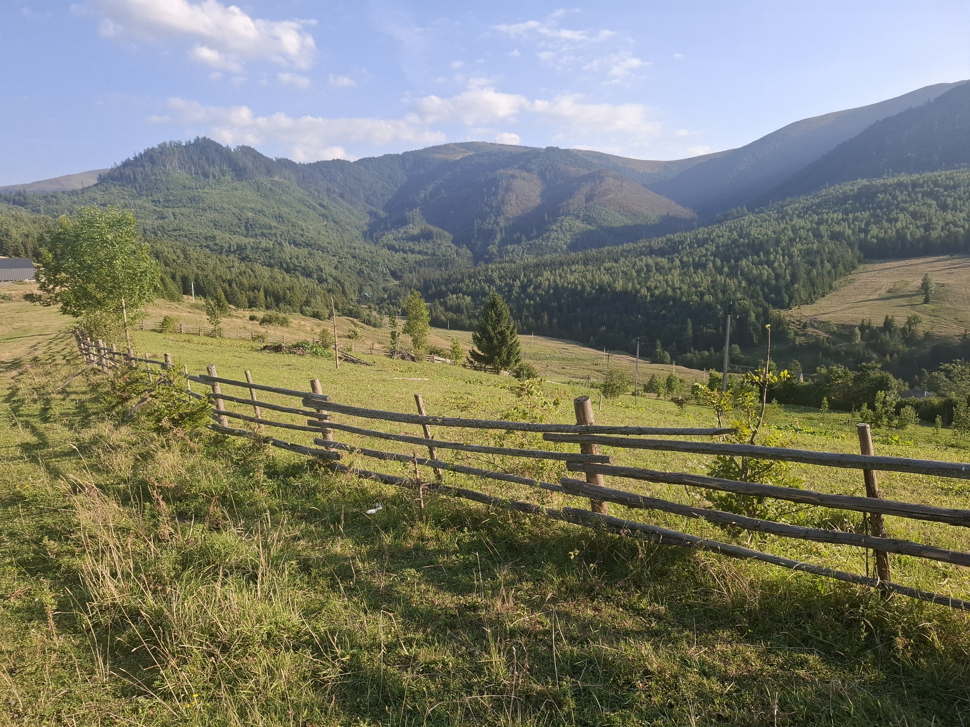 The image depicts a rustic wooden fence running diagonally across a grassy hillside in Volovets, Ukraine. Beyond the fence, rolling hills covered in dense green forest stretch towards a hazy mountain range under a bright blue sky with scattered white clouds. The foreground features tall, sun-drenched grass, and shadows from the fence are cast across the uneven terrain. A lone deciduous tree stands to the left of the fence, and a few small evergreens are visible in the middle ground. The overall scene conveys a peaceful, natural landscape.