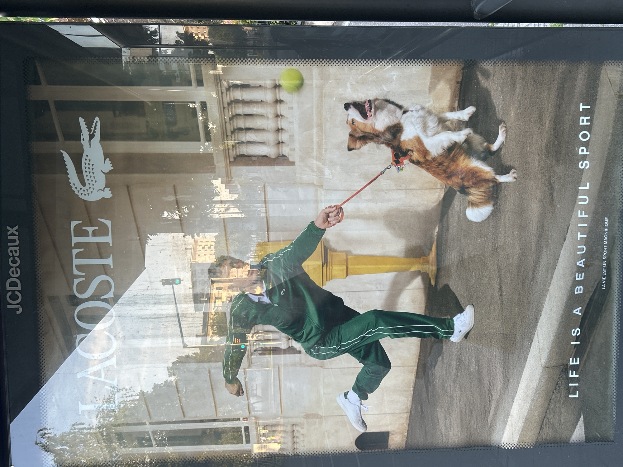 This is an advertisement for Lacoste, which is located in Strasbourg, France. The advertisement is posted at a bus stop. The ad features a man in a green Lacoste tracksuit throwing a tennis ball to a dog. The dog is jumping up to catch the ball. The text on the advertisement says "Life is a Beautiful Sport."