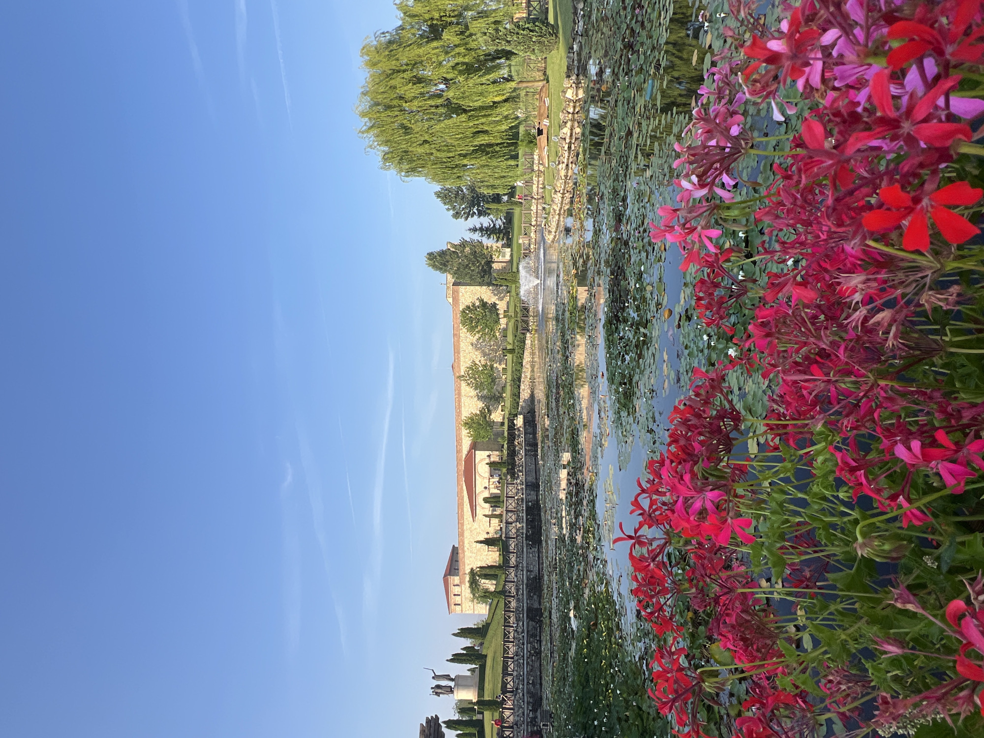 The image depicts a serene outdoor scene featuring a pond filled with lily pads and water lilies, bordered by lush green grass and trees. In the foreground, a cluster of vibrant red and pink flowers adds a splash of color. In the background, a long, stone building with a red-tiled roof stands prominently, accompanied by a fountain spraying water. Statues of two figures are visible on a raised platform to the left of the building. A weeping willow tree with its characteristic drooping branches is a notable feature on the right side of the scene. The sky is a clear blue with faint wisps of clouds. The location is identified as the City of Neofit Rilski, Bulgaria, suggesting this is likely a park or historical site.