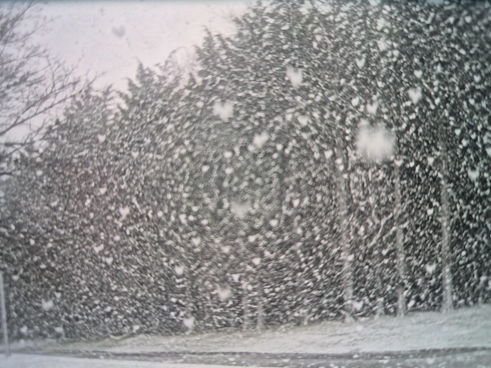 The image is a close-up, blurry, black and white photograph of falling snow. The foreground and mid-ground are filled with a dense, swirling pattern of dark grey and white specks, suggesting snowfall and possibly frosted foliage. A vertical element, appearing to be a wall or a textured surface, is visible on the left side of the image. The background is lighter, with faint shapes that could be trees or branches against a bright sky. There are no people or identifiable objects in the scene, and the overall impression is one of a winter storm.