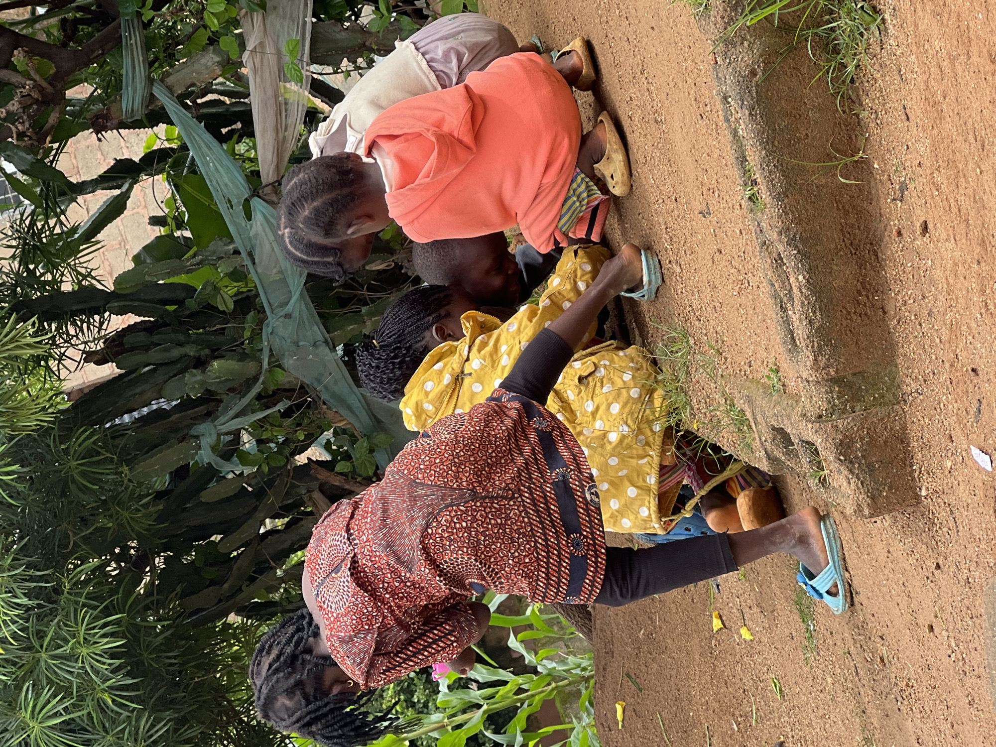 In Jos, Nigeria, four children are gathered around a patch of disturbed earth on a dirt path. The child on the left, wearing a red and black patterned dress and black leggings, is bending down, looking at something on the ground. She has dark, braided hair and is wearing a blue sandal. To her right, another child in a yellow polka-dot garment is also looking down. A third child, wearing an orange hoodie and striped shorts, is squatting and appears to be interacting with the ground. A fourth child, mostly obscured, is behind the child in orange, wearing a light-colored top and a purple skirt. The background features lush green foliage, including what appear to be large cacti and other plants, with some green plastic sheeting draped amongst them. The ground is sandy and reddish-brown, with scattered small stones and a few fallen yellow leaves. A rough, concrete structure is visible in the foreground, partially covered by grass. The overall scene depicts a moment of informal activity among children in an outdoor, possibly rural or semi-urban, setting in Jos.