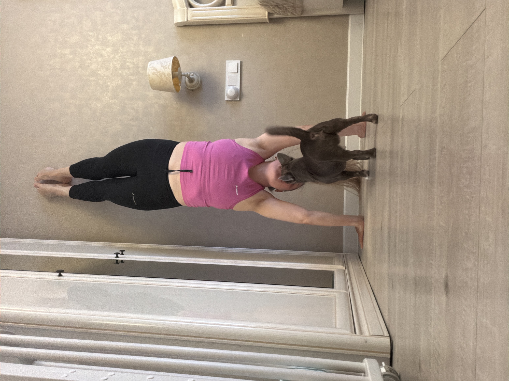 An indoor scene depicts a person engaged in a stretching or yoga pose on a light wooden floor, while a cat interacts playfully with them. The person, appearing to be a woman, is lying on her back with her arms extended upwards and her legs straight. She is wearing a bright pink athletic tank top with faint white text, possibly "DEMIX," visible on the front, and black athletic leggings. Her bare feet are visible.
A short-haired gray or brown cat is positioned on the person's upper body and head, seemingly batting at her hair or looking at her face, creating a moment of playful interruption to her exercise. The cat's body is in motion, with its tail blurred.
The background features a light, textured wall. On the wall, there's a decorative wall sconce with a patterned shade and a white electrical switch panel with multiple switches and a circular dial. To the side, there is white paneled furniture, possibly a cabinet or dresser, with dark, small knob handles visible. In the bottom left corner of the original image, a white radiator or baseboard is partially visible. The lighting is ambient, suggesting an indoor setting without direct sunlight.