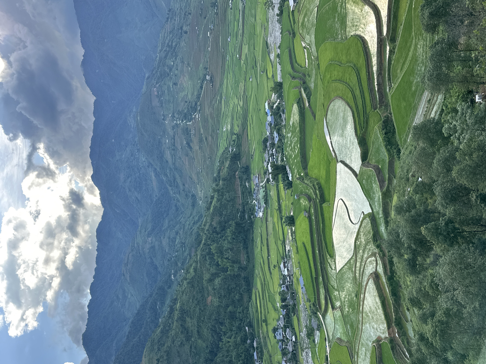 This elevated panoramic image captures a wide mountainous valley in Tú Lệ, Vietnam. The upper portion of the frame features a sky with scattered, primarily cumulus clouds; sunlight penetrates the clouds on the left, casting bright illumination, while clouds on the right appear darker and denser.
Multiple layers of mountains extend across the background, displaying undulating profiles and slopes covered in dense green foliage. Agricultural terracing is visible on many of these mountain sides, receding into the distance.
The mid-ground and foreground are characterized by an extensive network of rice terraces. These terraces exhibit variations in color: some are a vibrant, uniform green, indicating actively growing crops, while others are filled with water, reflecting the sky as bright, silvery-white patches. This creates a mosaic pattern across the valley floor and lower slopes.
Within the valley, several clusters of human habitation are present, consisting of small structures with dark-colored roofs. These settlements are interspersed among the rice fields. A winding, light-colored riverbed or shallow stream is discernible, traversing the valley floor and passing near the human settlements and terraced fields. Narrow, unpaved roads or paths can be observed winding through the terraced landscape, connecting different areas.
The immediate foreground is occupied by the dense canopy of green trees, suggesting the vantage point is from a higher elevation looking down into the valley. No human figures or discernible activities are visible in the scene.