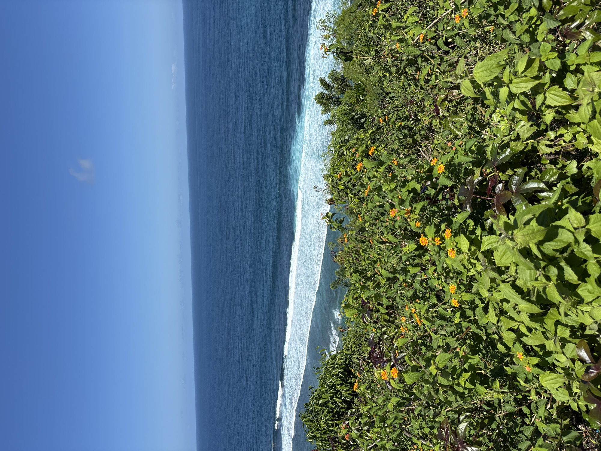 A high-angle, vertical view of a tropical coastline near Kuta Selatan, Indonesia. The ocean, a deep blue with whitecaps, occupies the left side of the frame. White surf crashes along the shoreline, dividing the sea from the lush vegetation to the right. The foliage is predominantly green with pops of orange flowers. The sky is clear and blue.