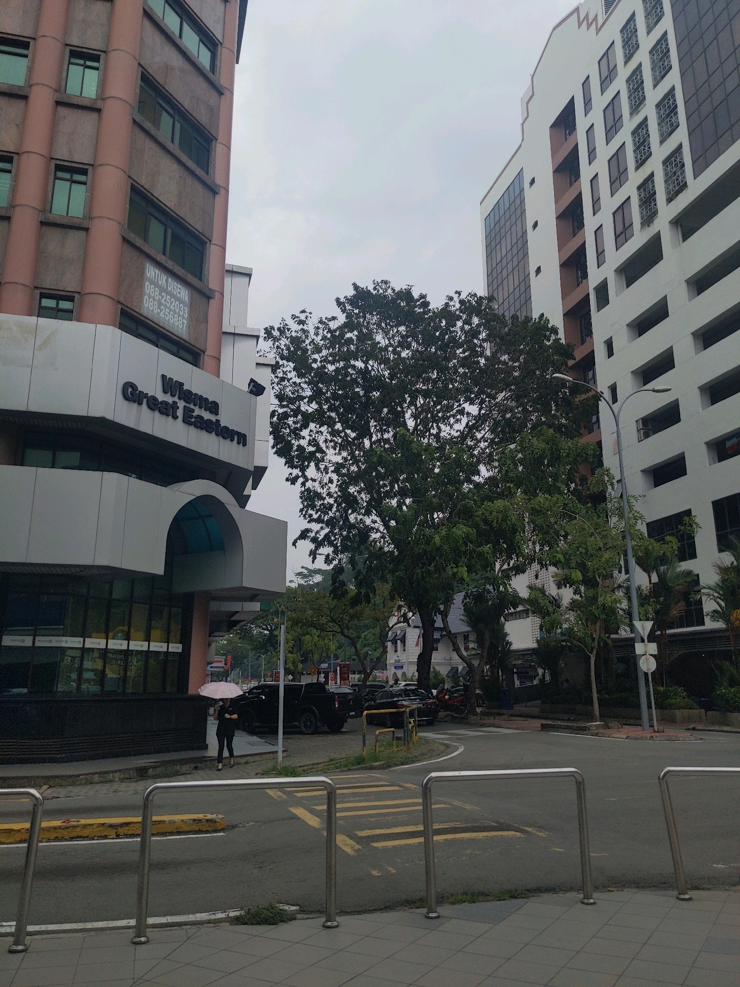 The image depicts an outdoor urban scene in Kota Kinabalu, Malaysia, likely on a cloudy day. In the foreground, a pedestrian walkway paved with gray tiles is visible, with metal barriers separating it from a street. Yellow and white crosswalk markings are painted on the asphalt road.
On the left side of the image, a tall, multi-story building with a reddish-brown facade and vertical brown columns stands. Signs on this building indicate "UNTUK DISEWA" (For Rent) with telephone numbers. Below this, a silver-colored structure with the prominent black lettering "Wisma Great Eastern" is visible, suggesting this is the Great Eastern building. The lower levels of this building feature dark glass windows and an arched entrance.
Dominating the center of the image is a large, mature tree with dense green foliage. Behind the tree, a white, modern, multi-story building with many dark windows and a distinctive stepped roofline is partially obscured. A street lamp is visible near the white building.
To the right of the tree and in front of the white building, a few other trees and some vegetation are present. Further in the background, more buildings and trees are visible, along with what appears to be a street intersection.
In the middle ground, near the entrance of Wisma Great Eastern, a person is walking, holding a light pink umbrella over their head. They are dressed in dark clothing and high heels. A black SUV is parked behind them. Other vehicles and parked motorcycles are also present in the background. The overall impression is of a commercial area with office buildings and street activity.