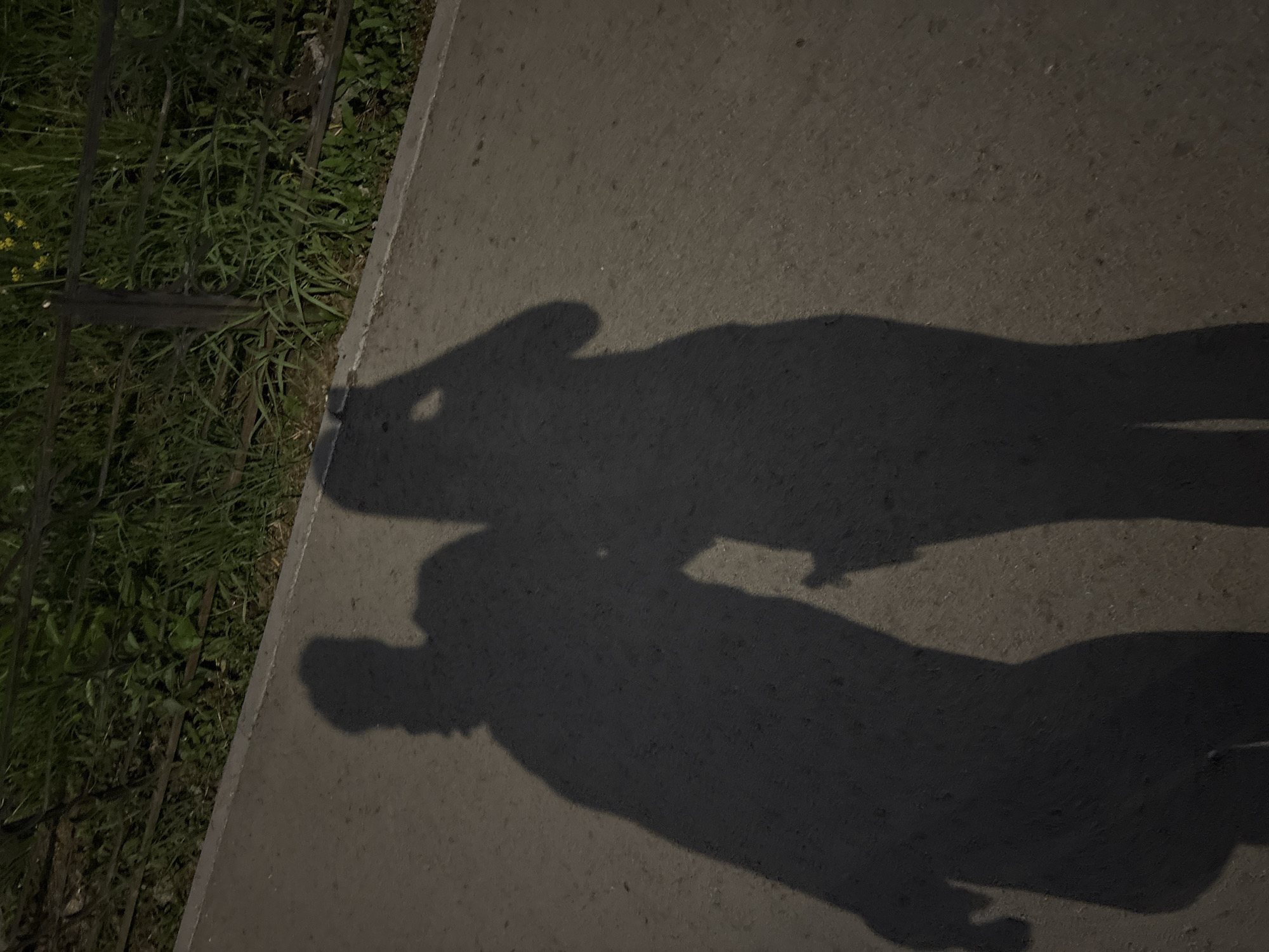 The image shows the shadows of two people on a sidewalk in Perm, Russia. The sidewalk is concrete and adjacent to a patch of grass separated by a low metal fence. The shadows suggest that one person is holding a phone to their face. The photo was taken at night or in low light.