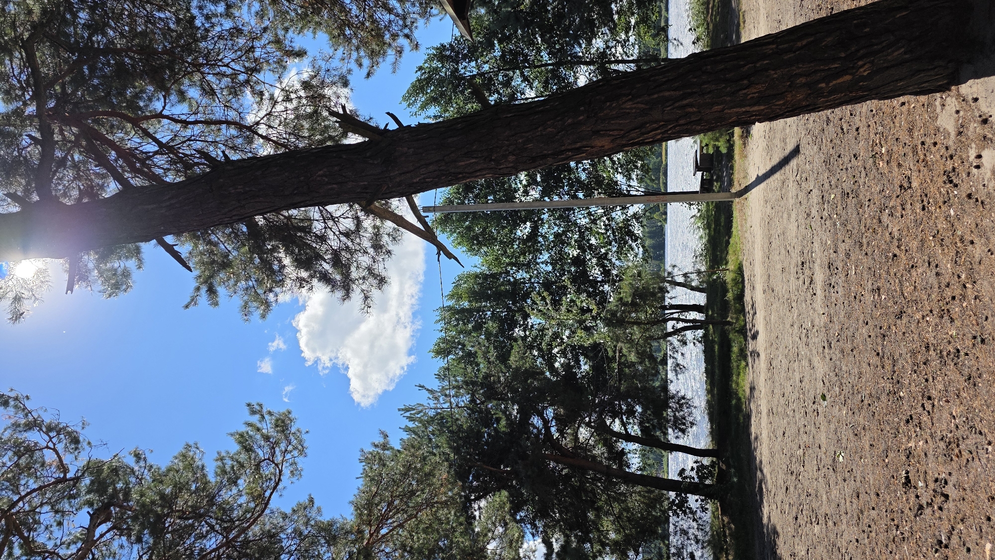 The image depicts a natural outdoor scene on a sunny day, likely near a body of water, given the presence of trees and a sun-dappled surface that could be sand or dry soil. The foreground is dominated by a sandy ground scattered with pine needles and small debris. A large, thick tree trunk is positioned diagonally in the right half of the frame, its bark rough and textured. In the background, a body of water with sparkling ripples stretches across the horizon, bordered by a line of green trees. The sky is bright blue with scattered white clouds, and the sun is visible in the upper portion of the image, creating lens flare. A slender pole, possibly a light post or a flagpole, stands in the middle ground, casting a long shadow across the sandy area. There are no people visible in the image. The overall impression is one of a peaceful, natural landscape on a clear summer day, potentially a recreational area by a lake or river.