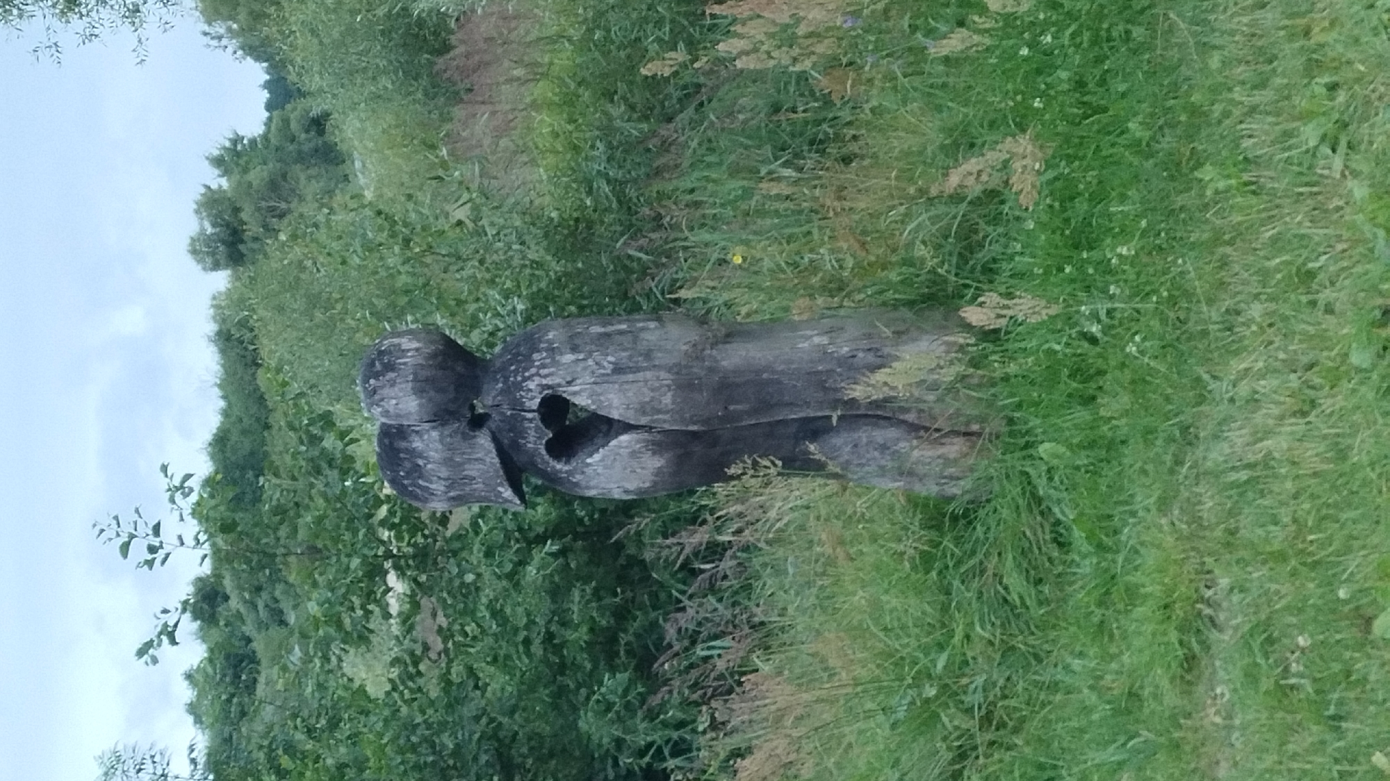 A weathered wooden sculpture of two figures embracing is situated in a grassy area with tall reeds and trees in the background. The sculpture depicts two stylized, humanoid figures carved from a single piece of wood. The figures are standing, with their heads close together, suggesting an embrace. A heart shape has been carved out of the space between their torsos. The sculpture is grey and shows signs of age and exposure to the elements. The surrounding environment is a natural landscape with lush green grass, wild flowers, and dense foliage. The sky is overcast. The sculpture is located in Jelgava, Latvia, at the Rāmavas manor park.