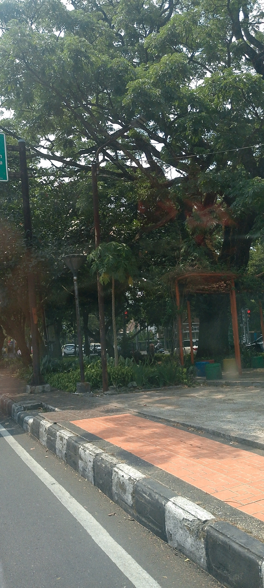 The image depicts a street scene in Bandung City, Indonesia, with a focus on the roadside vegetation and park area. A large, mature tree with extensive branches dominates the upper portion of the frame, its dense foliage creating a canopy. In the foreground, a paved road with a white line marking is visible, bordered by a concrete curb with alternating black and white painted sections, showing signs of wear and tear. Adjacent to the curb is a pedestrian walkway paved with orange bricks. Beyond the walkway, a park area is laid out with lush green plants and trees. Several streetlights and poles are scattered throughout the park. In the background, vehicles, including cars and motorcycles, are seen on a street, and buildings are partially visible. A wooden pergola structure stands within the park. The overall scene suggests a well-maintained urban park adjacent to a road.