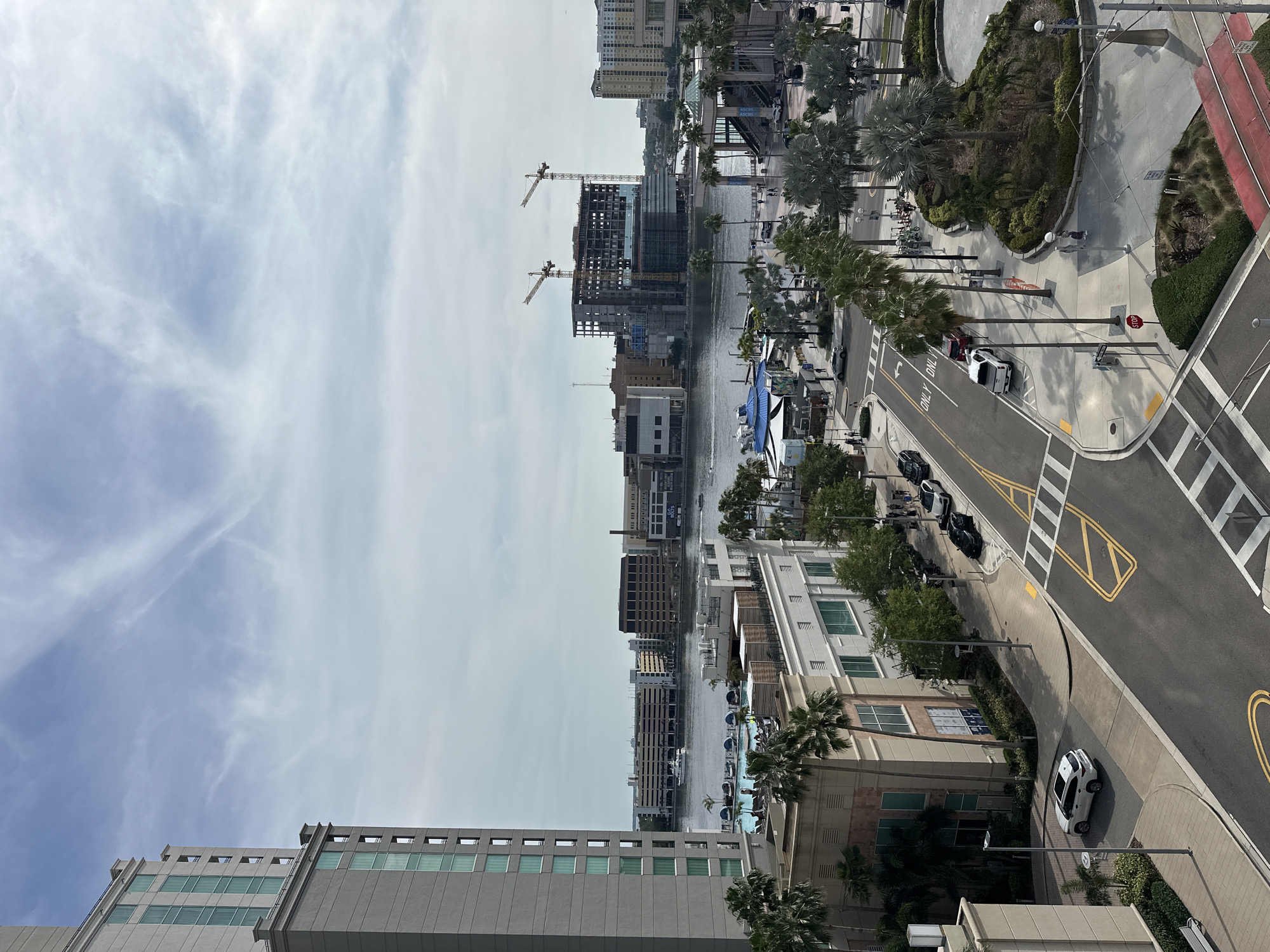 This image shows an elevated view of a portion of Tampa, Florida, United States. In the background, there is a body of water with buildings and cranes along the shoreline, indicating ongoing construction. The water is filled with boats. The sky is partly cloudy. In the midground, there are palm trees and buildings lining the street. Several parked cars are along the road. The foreground contains the top of a building with a neutral color scheme. The image gives a sense of urban activity along the waterfront.