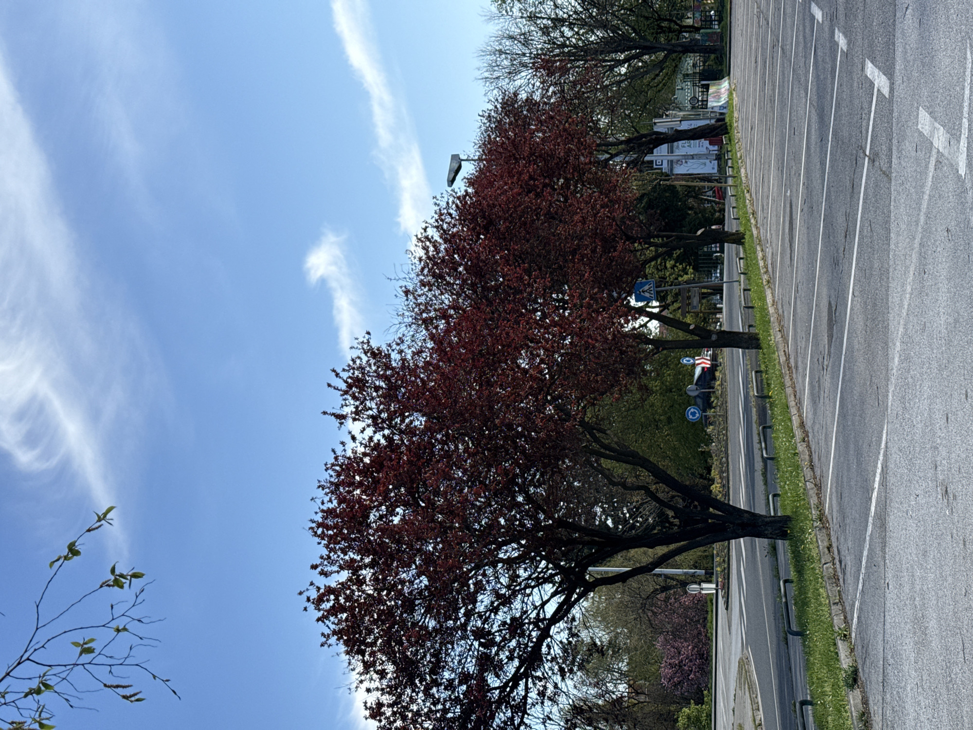 The image depicts a parking lot in Zagreb, Croatia, adjacent to a road lined with trees, under a clear blue sky with light wispy clouds. The parking lot is grey asphalt with white parking space markings. A row of trees, some with red foliage, lines the road separating the parking lot from an area with greenery and signage. The perspective is slightly tilted, showcasing the length of the parking lot and the trees lining the road.