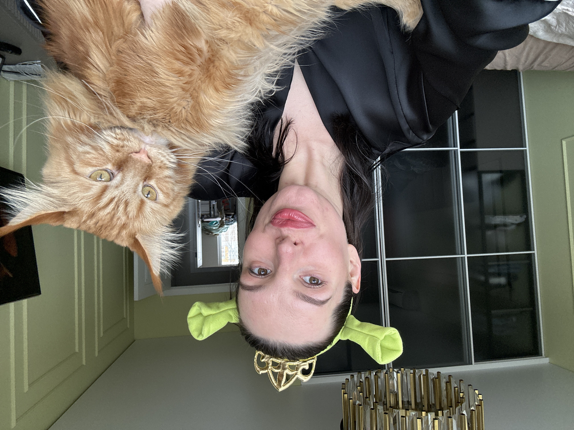 A woman with dark hair is holding an orange Maine Coon cat. She is wearing a black silk robe and a headband with green ears and a gold crown. The background features a room with a window and a sliding door. The scene appears to be indoors. I cannot locate the city of Chaikovsky, Russia in this image.