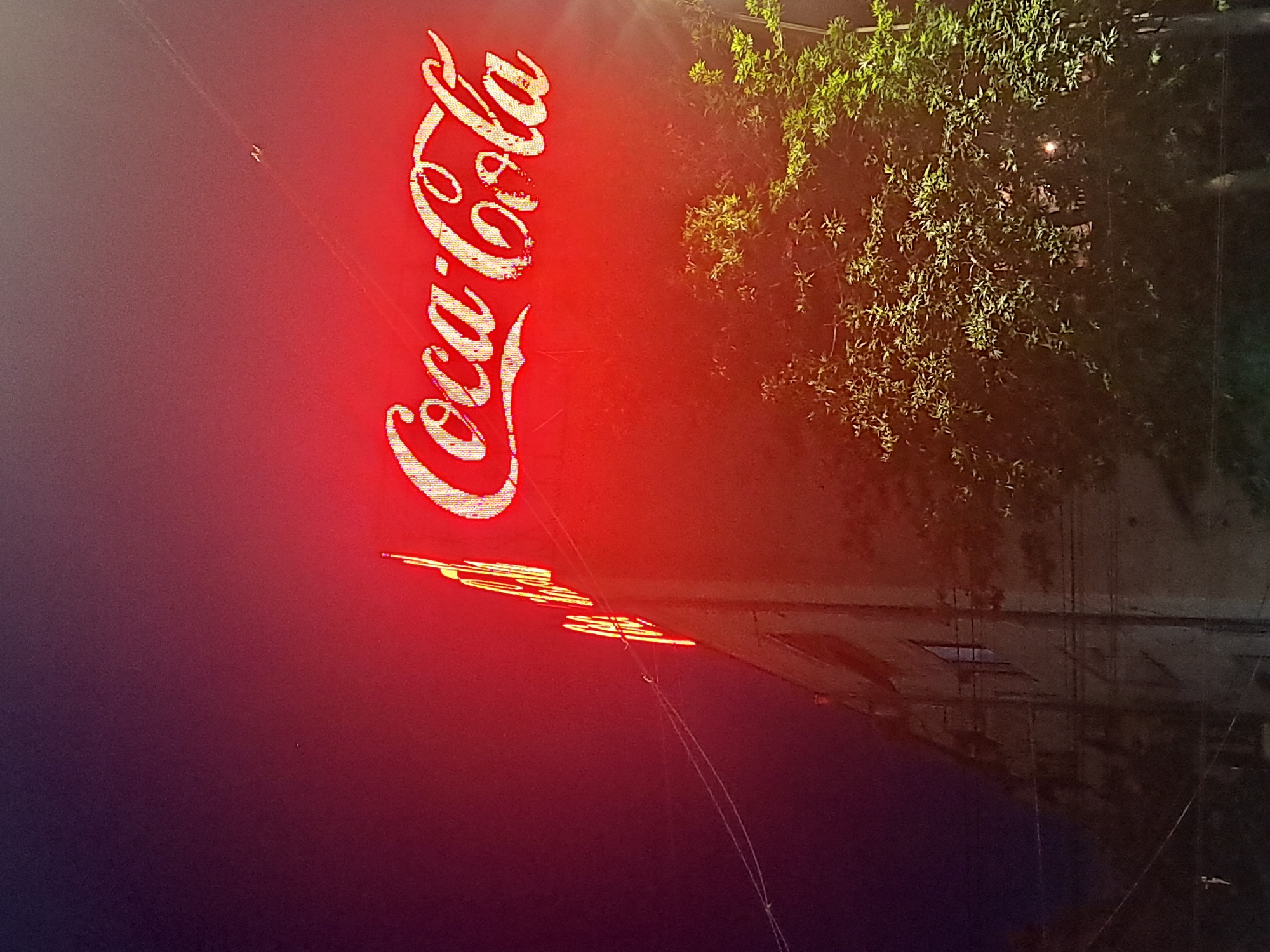 The image shows a red Coca-Cola logo reflected on what appears to be a wet surface, likely a street or pavement at night. The reflection is somewhat distorted by the water. A leafy tree or bush is visible to the right of the logo, illuminated by a light source. Below the reflection, there is a dark purple/blue area, likely the unlit portion of the pavement. There is no visible evidence of people in the frame. Based on the presence of the Coca-Cola logo and context, it is possible that the location is Yerevan, Armenia.