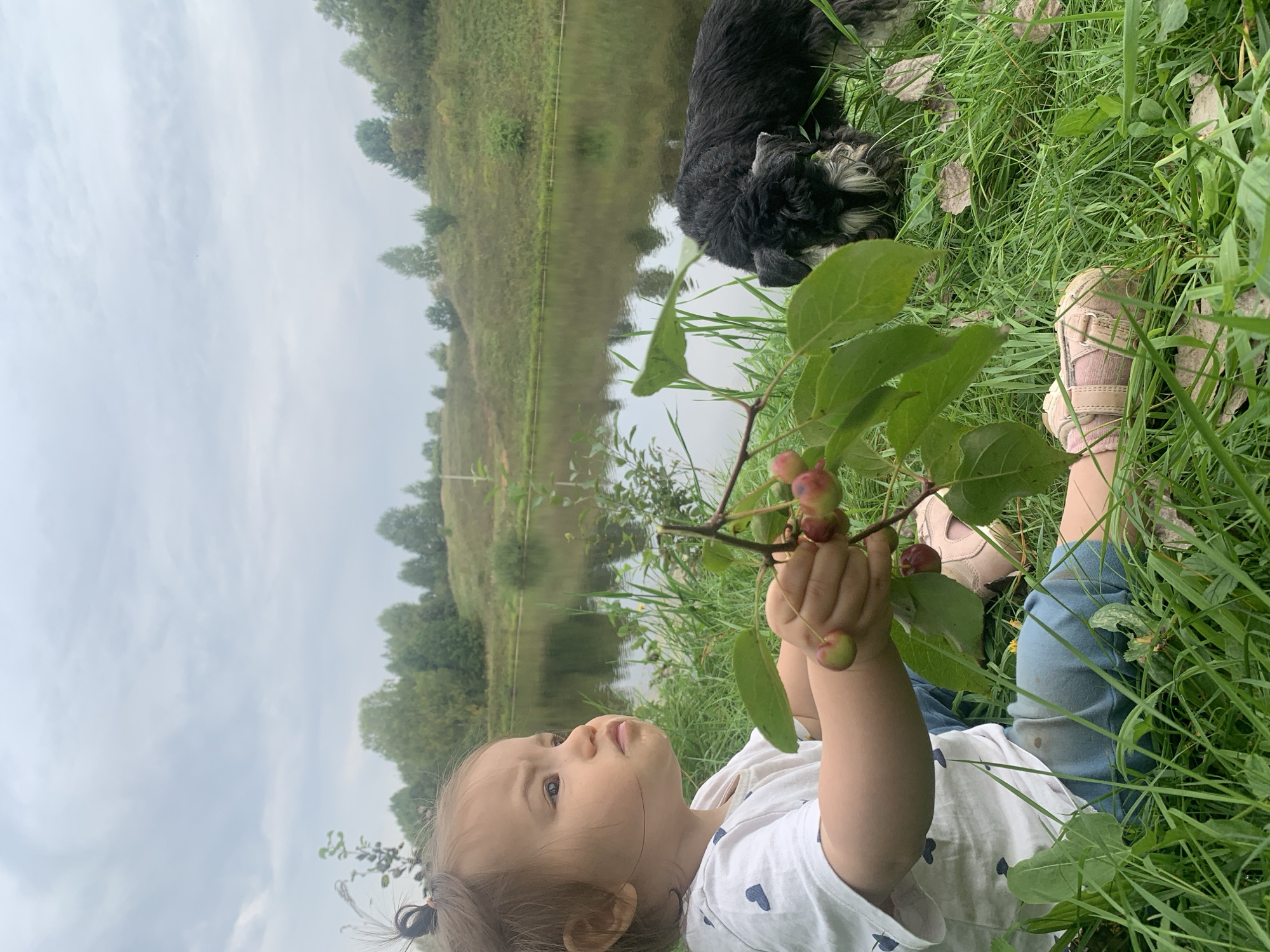 A young child with dark hair pulled back in a bun sits in tall green grass next to a body of water. The child is wearing a white t-shirt with blue hearts and blue pants. They are looking off to the right, holding a branch with several small red and green berries. To the right of the child, a black schnauzer-type dog is sniffing the grass. The background shows a gentle slope covered in green grass and trees, with a cloudy sky overhead. The location is a rural area, possibly a park or natural reserve, in the vicinity of Zasechnyi, Russia.