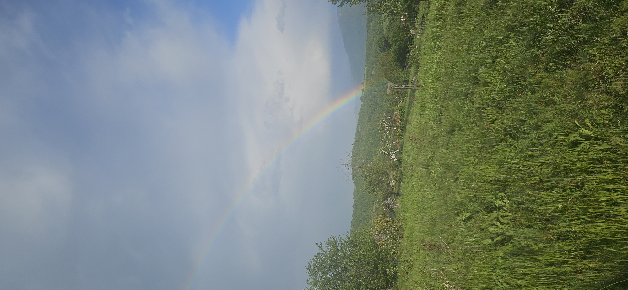 The image depicts a landscape scene with a rainbow in the sky. The rainbow arcs across the left side of the frame, its colors vibrant against a backdrop of clouds and blue sky. On the right, a lush green field extends into the distance, with trees and vegetation bordering the horizon. A wooden structure resembling a fence or small bridge is visible in the mid-ground of the field. The scene appears to be in a rural or semi-rural setting, possibly near the city of Gutsal, Bulgaria, given the prompt's location. There are no people directly visible in the image. The overall environment suggests a natural, pastoral landscape with a recent or ongoing rain event, indicated by the presence of the rainbow.