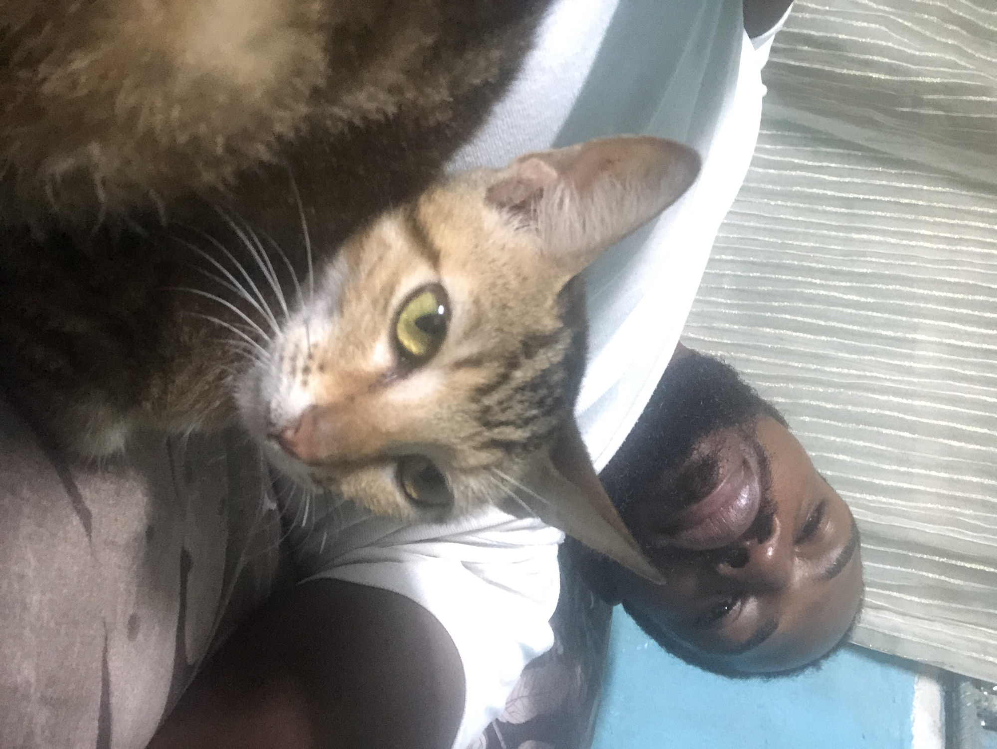 In Lagos, Nigeria, a close-up shot captures a person and a cat in an indoor setting, likely a bedroom, with a backdrop of vertically striped curtains. The person, a dark-skinned man with a beard and dark hair, is lying down, with his face tilted towards the camera and his eyes partially closed. He is wearing a white t-shirt. A tabby cat with green eyes and prominent whiskers is nestled against the man, partially obscuring his chest and shoulder. The cat's head is turned towards the camera, and its ears are perked up. The lighting in the image is dim, suggesting it might be nighttime or the room is dimly lit. The overall impression is one of comfort and intimacy between the man and his pet.