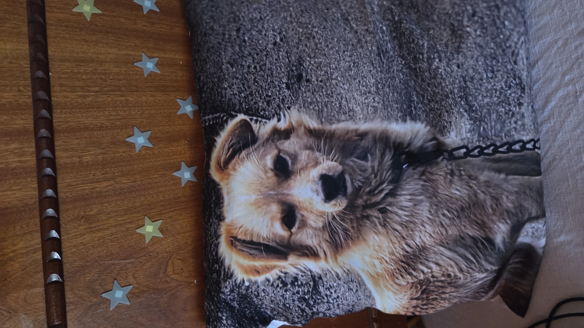 The image shows a portion of a wooden surface decorated with star-shaped stickers, alongside a pillow with a printed image of a dog wearing a chain collar. The background behind the dog image appears to be a textured gray or brown surface. A section of white fabric is also visible to the right of the pillow. The location and city are unknown.
