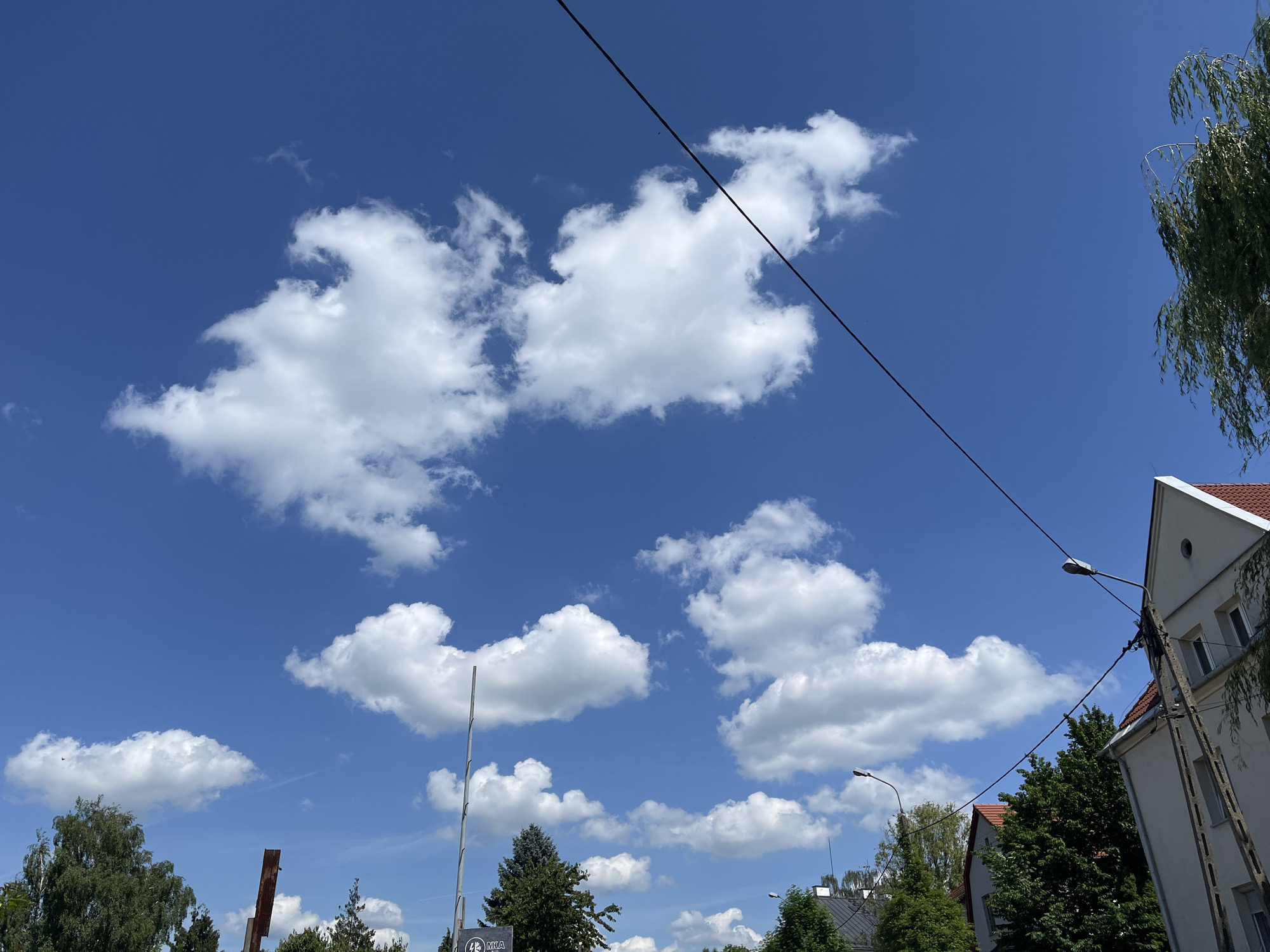 The image shows a bright blue sky with scattered white cumulus clouds. A thin black wire stretches diagonally across the upper portion of the frame. In the lower right corner, the upper part of a light-colored building with a red-tiled roof is visible, along with a section of a concrete utility pole with wires attached. A street lamp is mounted on this pole, as well as another street lamp further to the left on a similar pole. To the left of the building, several green trees are present, including a weeping willow with long, drooping branches in the upper right. In the lower left, more trees and what appears to be a metal structure are visible against the sky. The scene suggests an outdoor environment, possibly a street or park, under a clear, sunny sky.