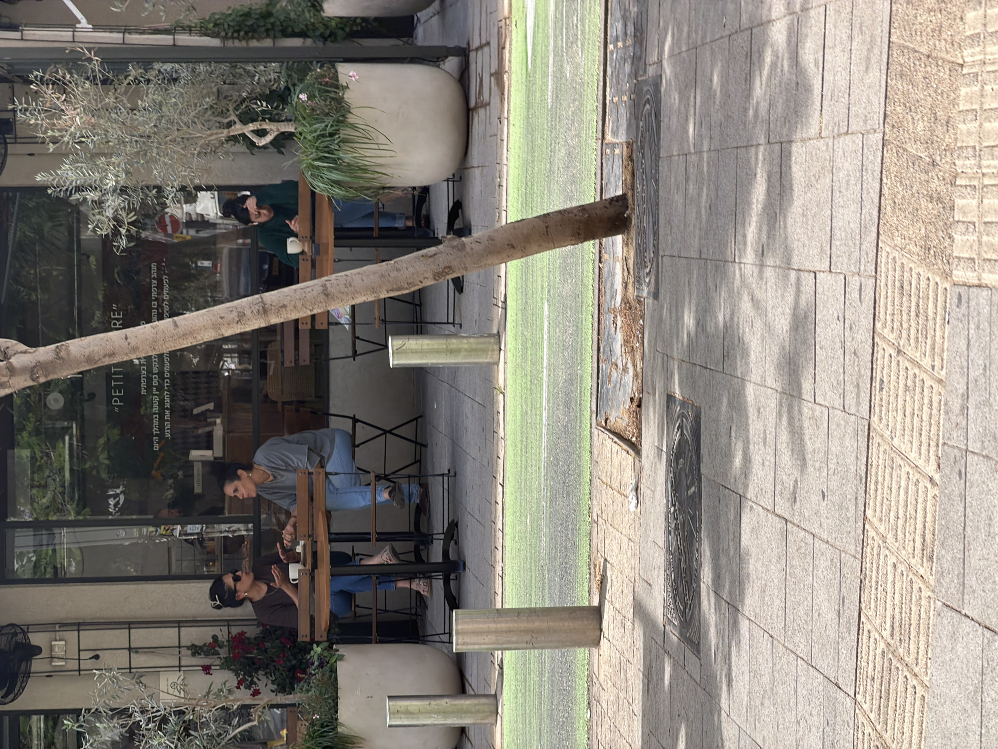 This image depicts an outdoor cafe scene in Tel Aviv, Israel, likely during the day. Several people are seated at tables outside a cafe called "Petit," the cafe sign and description in Hebrew are visible in the reflection of the cafe window. One woman wears a grey shirt and jeans, while another woman wears sunglasses and a brown shirt and jeans. A man in green can be seen in the background. The cafe has large potted plants outside. The cafe is located on a street with a sidewalk and what appears to be a grass-lined median with support poles. The sidewalk is paved with gray cobblestones. A tree trunk diagonally crosses the frame, obscuring some of the scene. Manhole covers are visible on the sidewalk.