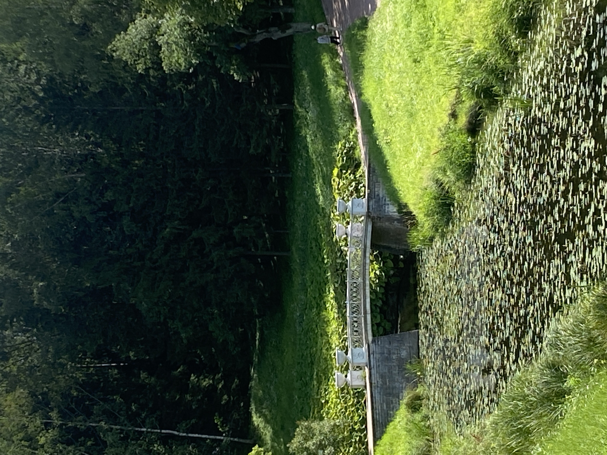 The image depicts a serene park scene in Pavlovsk, Russia, likely within the grounds of the Pavlovsk Palace. A stone bridge, adorned with white balustrades and urns, spans a tranquil body of water covered with a dense carpet of lily pads. The water is bordered by lush green grass and tall trees that form a dense forest in the background. Two individuals, dressed in casual attire, are seen walking along a path that leads away from the bridge. The sun casts dappled shadows across the landscape, highlighting the vibrant greenery and creating a peaceful atmosphere.