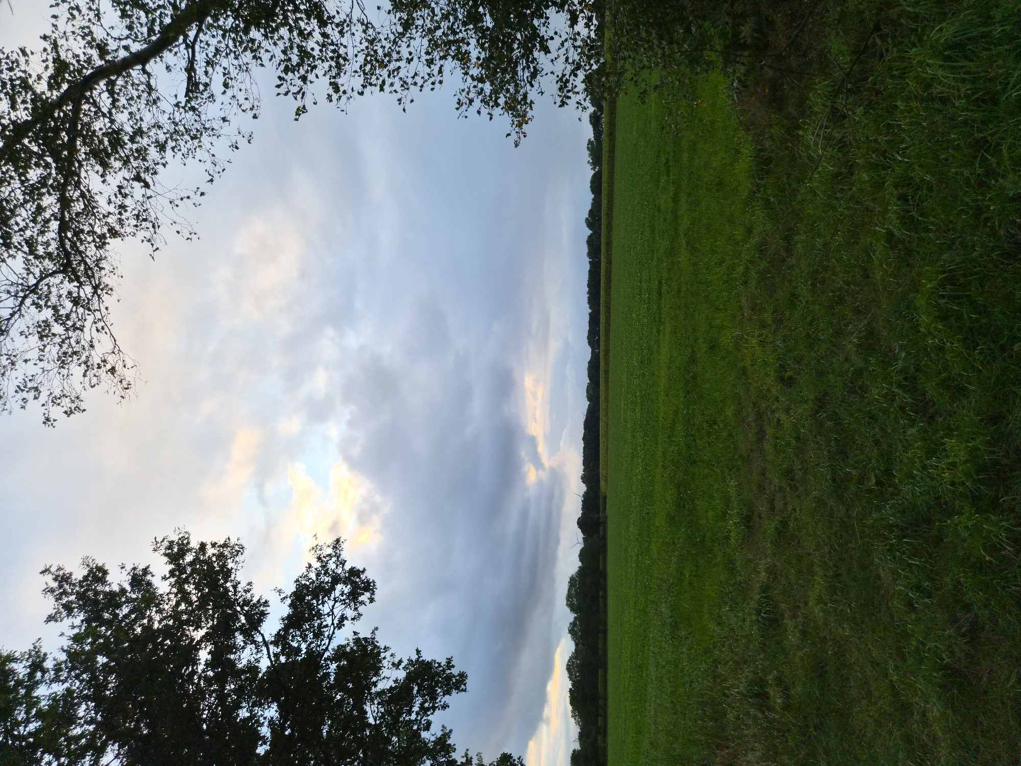 A wide-angle, full shot captures a lush green field bordered by a dense line of trees in the distance. The sky above is dramatic, filled with a mixture of dark, heavy clouds and lighter, more illuminated patches, suggesting the presence of sunlight breaking through. Two wind turbines are visible in the far distance, peeking above the treeline. The foreground features a close-up view of the grassy field, with varied textures and lengths of grass. The scene is framed by the dark silhouettes of trees on the left and right edges of the image. The overall impression is of a rural landscape in Schiffdorf, Germany, under a dynamic and partly overcast sky.