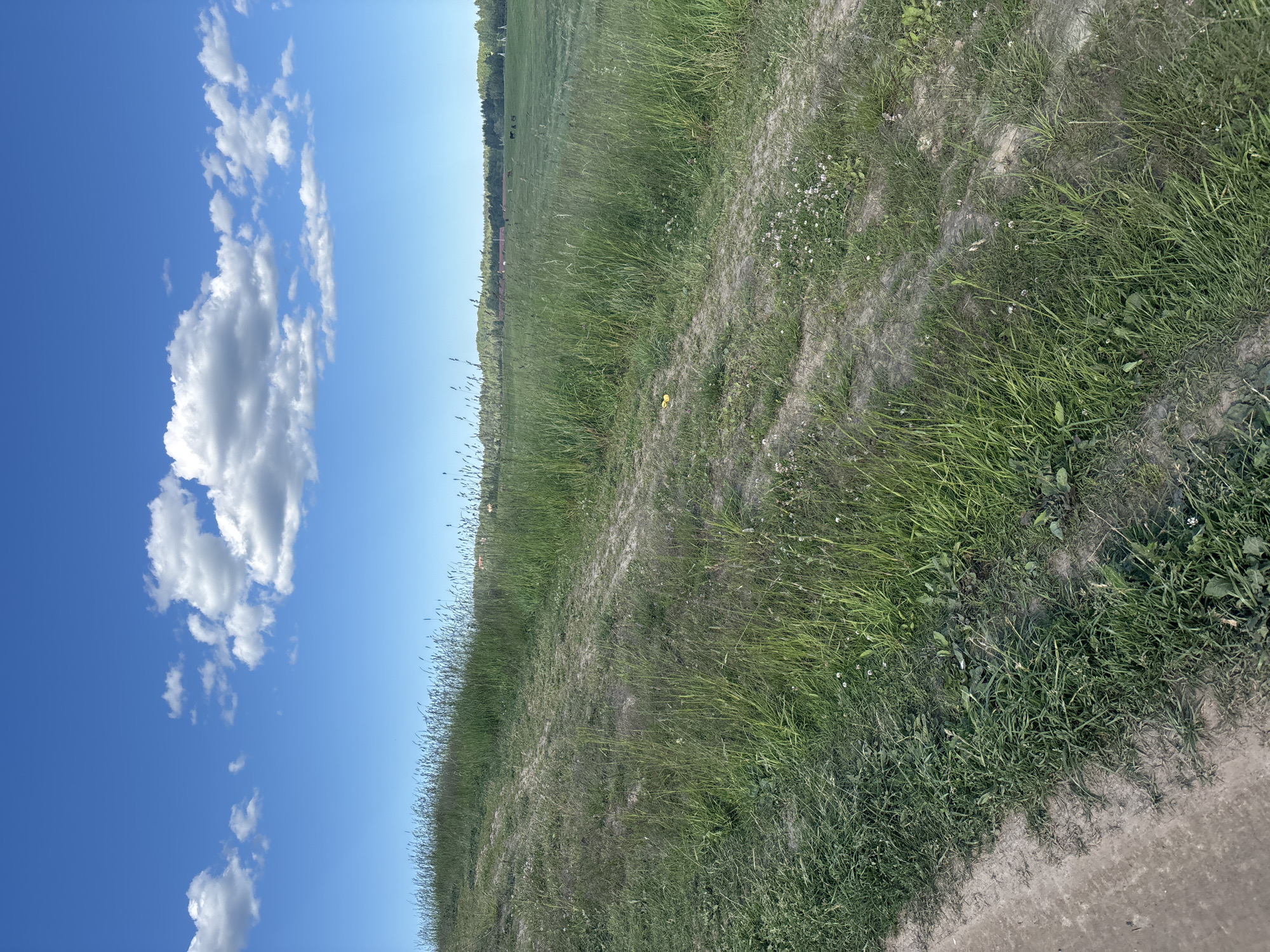 An outdoor shot shows a landscape with a dirt path winding through tall grass under a blue sky with white clouds. In the distance, there are buildings and trees. The scene is located in the village of Khirvosti, Russia.