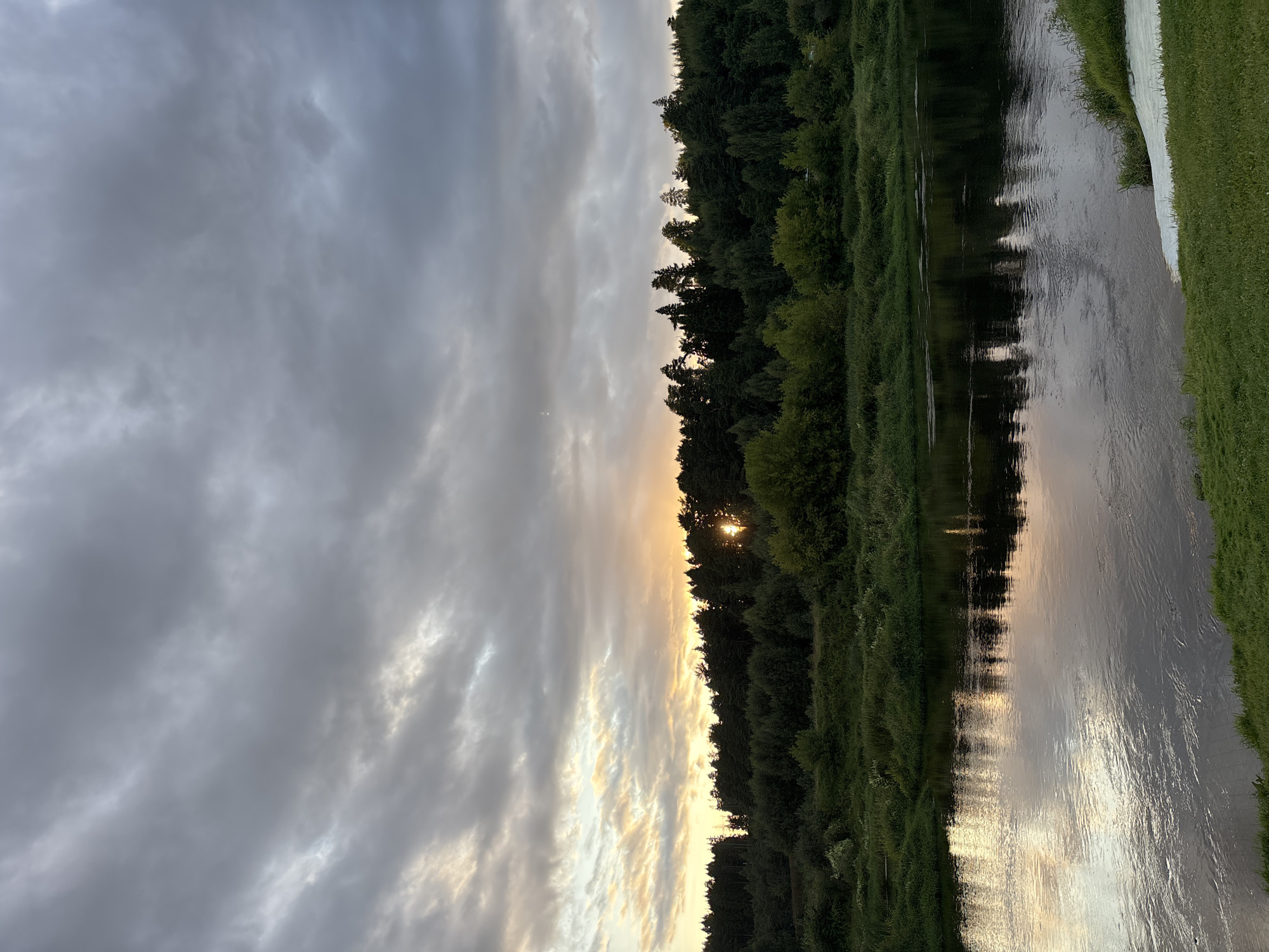 The image depicts a serene natural landscape on the Moskva River in Zvenigorod, Russia. The scene is characterized by a dense, dark green forest lining the opposite bank of the river, with a few taller trees protruding above the canopy. The sky is overcast with heavy, textured grey clouds, but breaks in the clouds reveal a muted sunset or sunrise, casting a soft golden-pink light on the horizon. The sun is partially visible, peeking through the trees, and its rays create a glowing effect.
The Moskva River occupies the foreground and midground, its surface reflecting the colors of the sky and the silhouetted trees. The water is calm, with subtle ripples indicating a gentle current. The bank on the observer's side is covered in lush green grass, with a patch of what appears to be light-colored sand or gravel near the water's edge. The overall impression is one of tranquility and natural beauty, with the interplay of light and shadow contributing to a somewhat dramatic, yet peaceful, atmosphere. There are no people or animals visible in the frame.