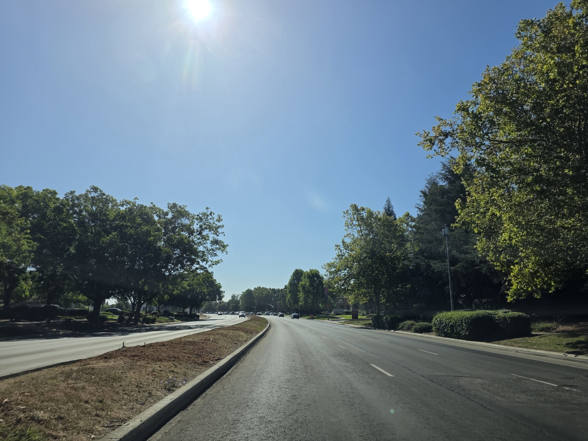 A wide, asphalt road curves gently to the right, leading into the distance under a clear, bright blue sky. The sun is high and bright in the upper left quadrant, casting lens flares and a strong glare. Lush green trees line both sides of the road, their leaves illuminated by the sunlight. On the left side, a strip of dry, brown grass and dirt with a concrete curb borders the road, with more trees and manicured bushes beyond. On the right, the trees are denser and form a backdrop to neatly trimmed hedges and a lamppost. Several cars are visible on the road ahead, traveling in the same direction as the viewer. The scene suggests a sunny day in a suburban or semi-rural area. The location is identified as Elk Grove, United States of America. There is no visible text.
