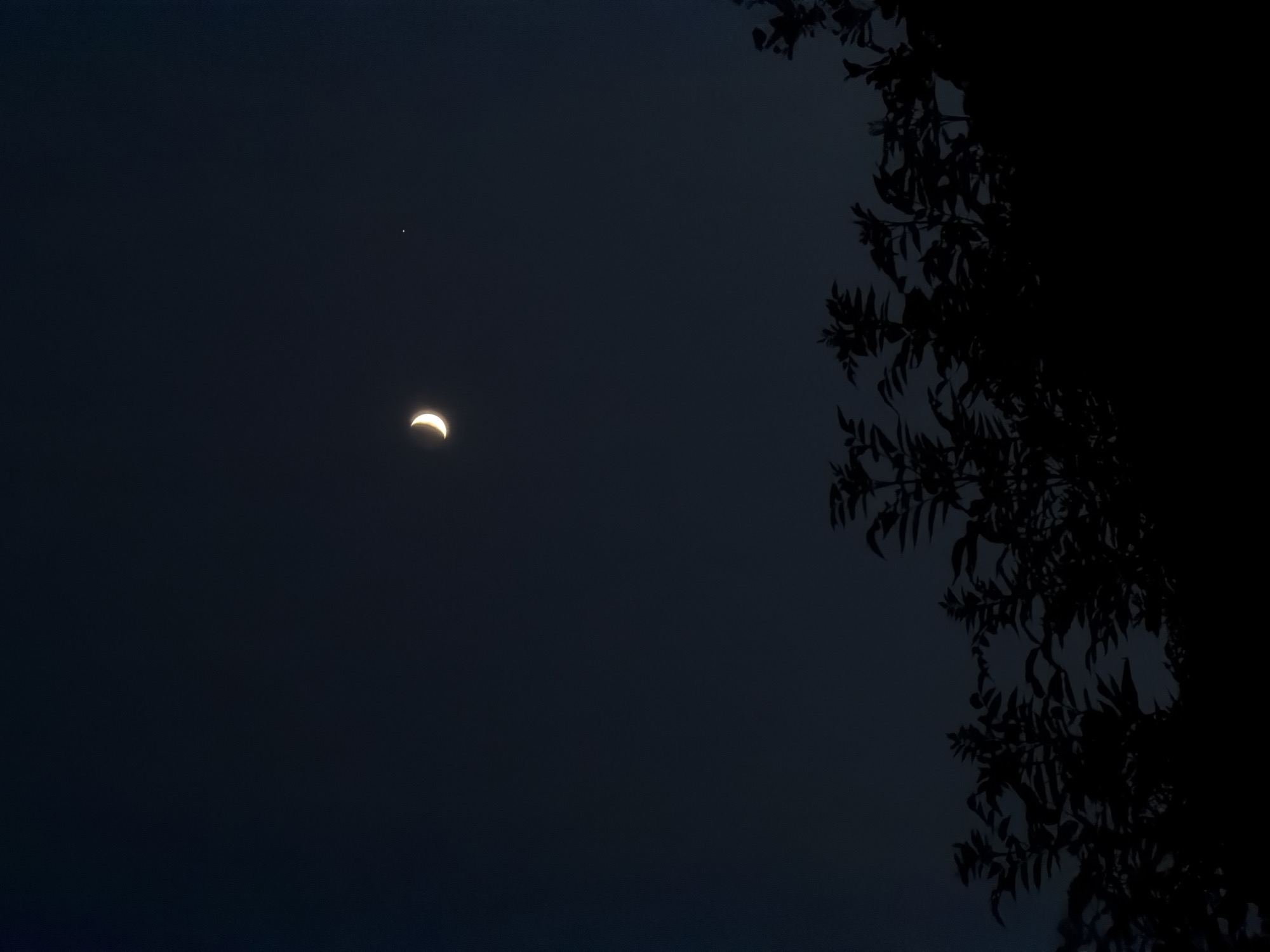 The image is a vertical, low-light photograph of the night sky over Chamonix-Mont-Blanc, France, as indicated by the metadata associated with the image. A thin crescent moon is visible in the upper center of the frame, appearing bright yellow against the deep navy blue of the sky. To the right of the moon, a single, small, bright star is also visible. The lower portion of the image is dominated by the dark silhouettes of trees and foliage, with branches and leaves creating an intricate, shadowed pattern against the sky. The overall impression is one of a peaceful, clear night with celestial bodies prominently displayed. There are no people or specific structures identifiable in the scene.