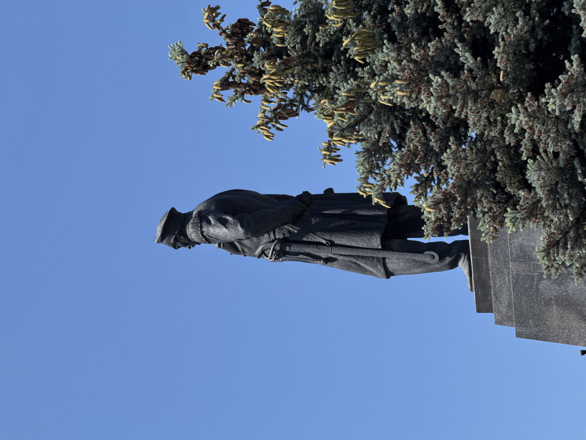 A black bronze statue of a man in military uniform stands against a clear blue sky. The man is wearing a hat, a coat with epaulets, and boots. He has a sword at his side. To the right of the statue, a green fir tree with numerous pinecones is visible. The statue is mounted on a granite pedestal.
