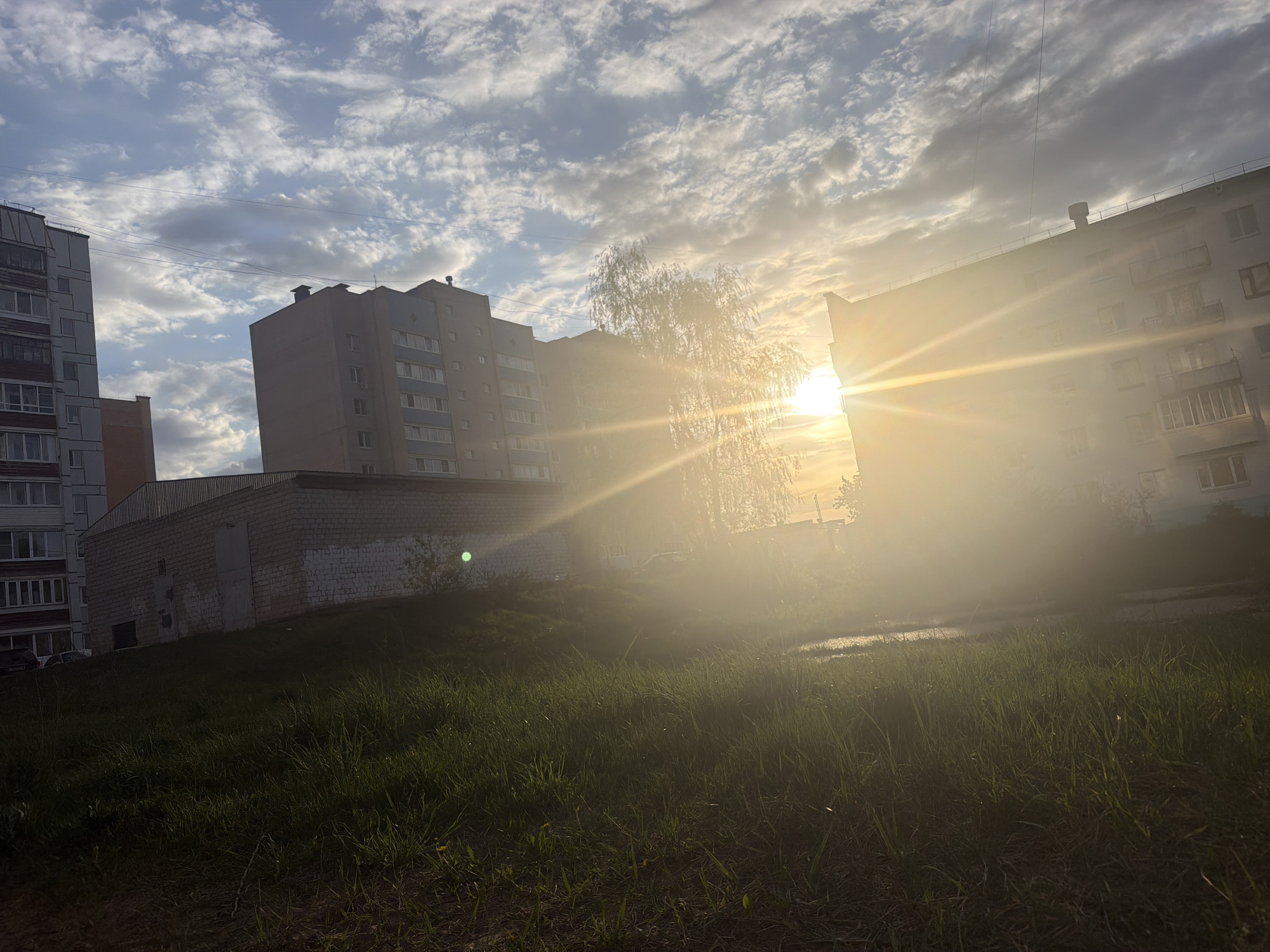 The image shows a view in the city of Chaikovsky, Russia. The foreground features a grassy area. Behind this are a low brick building and several multi-story apartment buildings. A tree stands amidst the buildings. The sun is shining brightly, creating significant lens flare and obscuring details. The sky is cloudy.