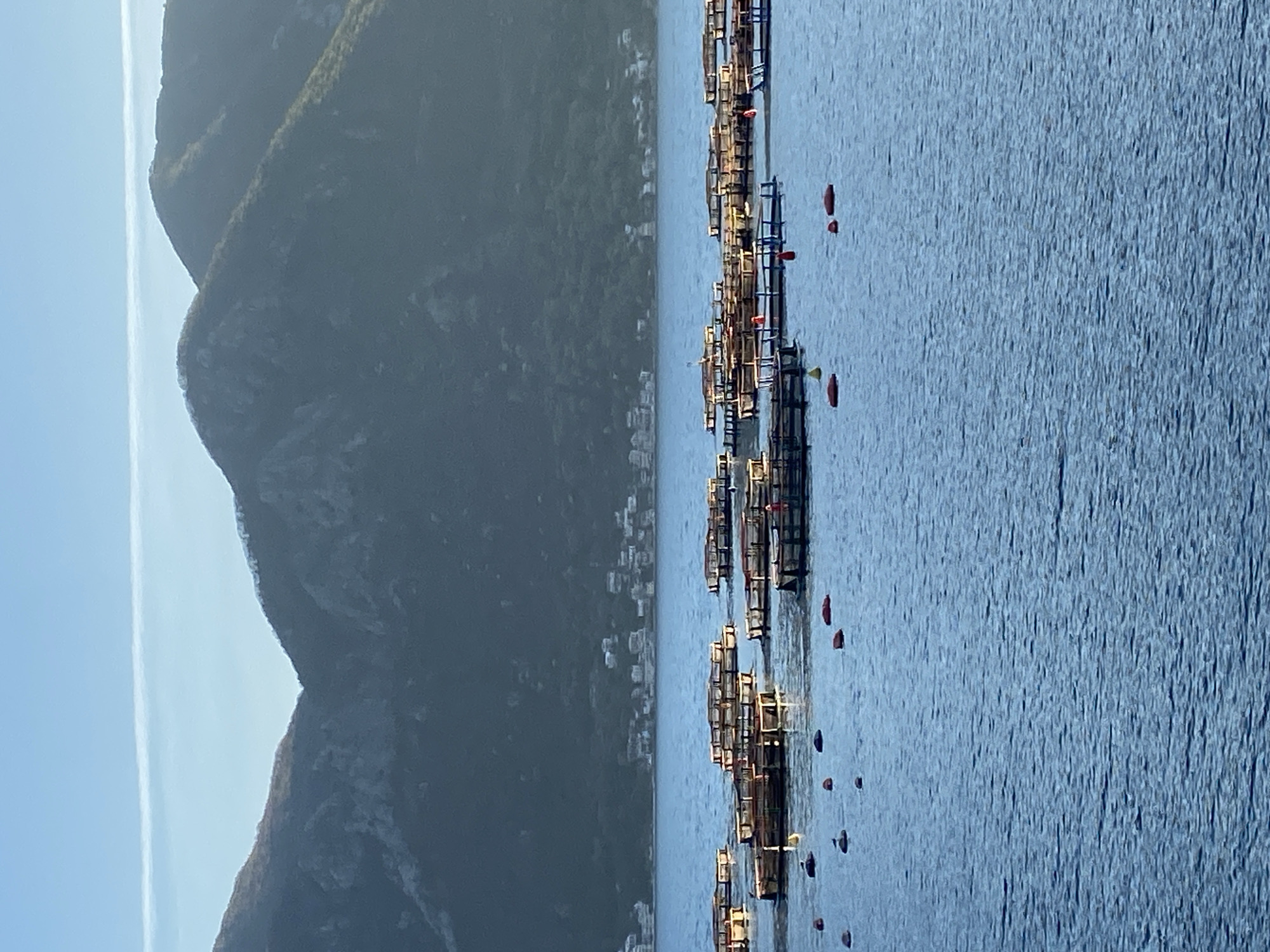 The image depicts a view of the Bay of Kotor near Donji Orahovac, Montenegro. Mountains line the left of the frame, with a town visible at their base, and a calm body of water occupies the majority of the space. A series of fish or mussel farms are visible in the water, marked by floating platforms and buoys. The overall lighting suggests a bright, possibly sunny day.