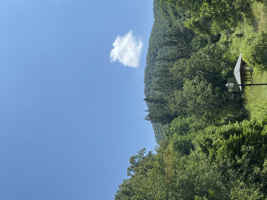 The image depicts a mountainous, vegetated landscape under a clear sky in Artavaz, Armenia. The upper portion of the frame features a bright, cloudless blue sky, with a single, isolated white cumulus cloud visible in the upper right quadrant. The central and lower sections are dominated by dense, lush green foliage, primarily trees, covering a distant hillside or mountain. Various shades of green indicate different tree species. In the mid-ground, positioned slightly right of the vertical center, a dark-colored lamppost with a white, multi-paneled lantern-style fixture stands upright. Behind and to the right of the lamppost, partially obscured by green growth, a small wooden gazebo or pavilion with a dark, possibly grey or green, pyramidal roof is situated on a slightly elevated, overgrown grassy area. No individuals or discernible activities are present. The scene is illuminated by direct sunlight, indicating daytime conditions.