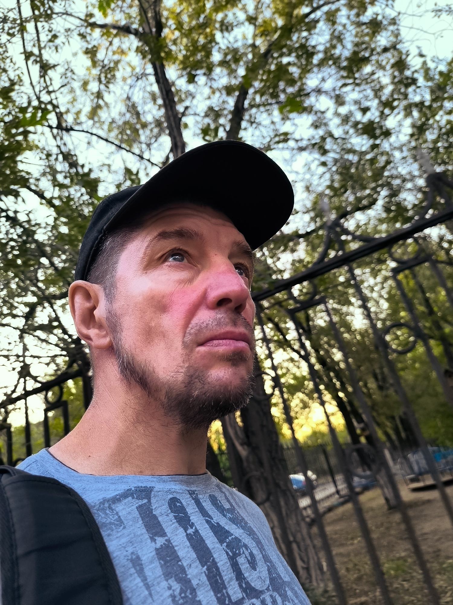 A man wearing a black baseball cap and a blue t-shirt with a grey design stands in profile, looking upwards and to the right. He has short, grey-brown hair, a light beard, and his face is slightly flushed. He appears to be in an outdoor setting, possibly a park, with trees and a dark metal fence visible in the background. The sunlight filters through the leaves, creating a bokeh effect. There are hints of urban elements like benches and possibly a road in the distance. The image is captured from a low angle.