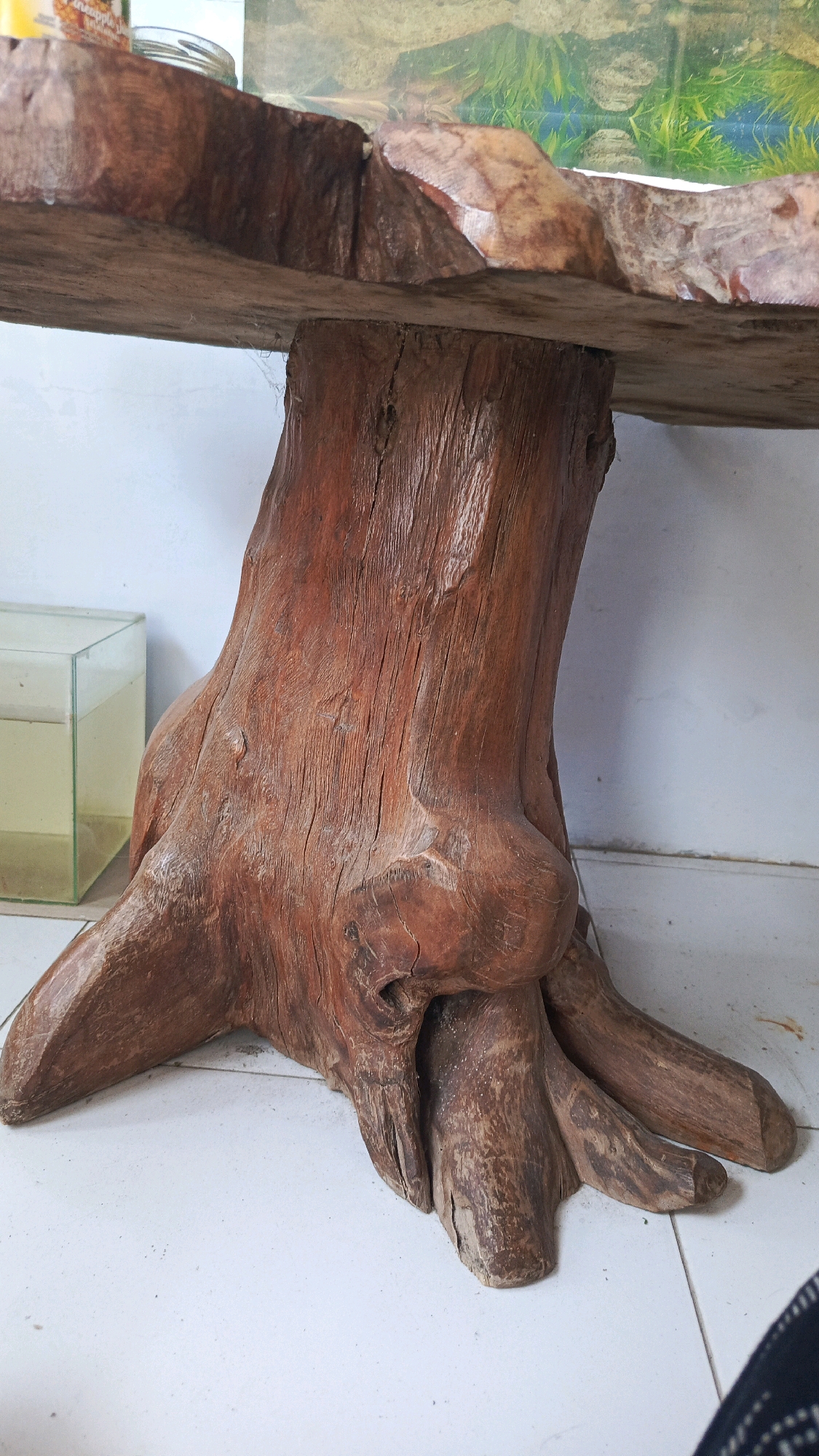 The image shows a close-up view of a wooden table with a base resembling a tree trunk with exposed roots. The wood is rough and textured, with visible grain and cracks. The table top is also made of wood, with an uneven, natural edge. In the background, a light-colored wall and a tiled floor are visible. To the left, a small, clear glass aquarium containing a yellowish liquid is present. The scene is indoors, likely in a residential setting in Babadan, Indonesia, given the context of the request, although there are no specific visual cues within the image to confirm the precise location. There are no people visible in the image.