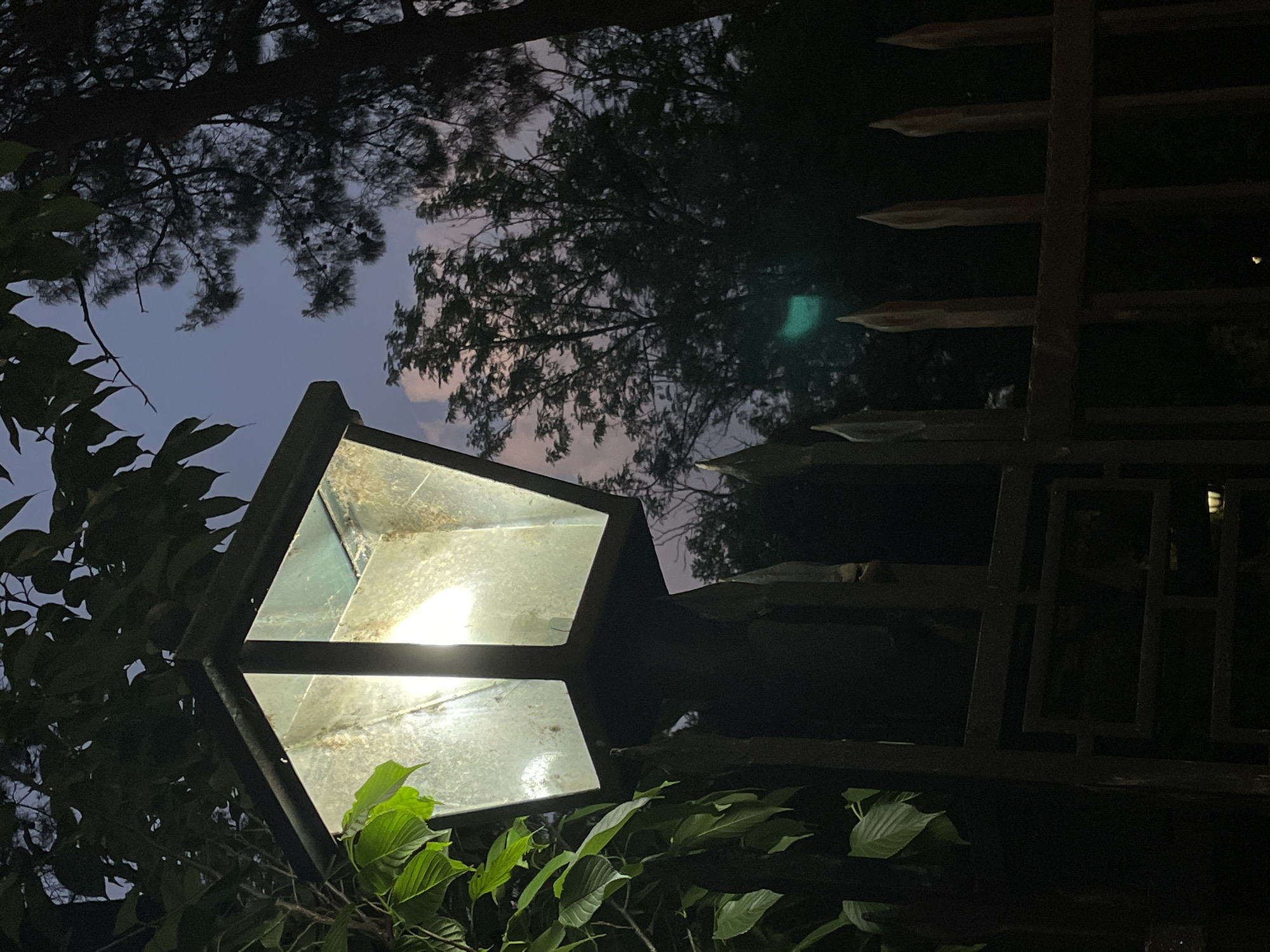 An illuminated street lamp stands angled in front of a wrought-iron fence, leaves, and tree branches against a twilight sky. The lamp has a geometric cage design, and the light inside is bright. The setting could be an urban area.
