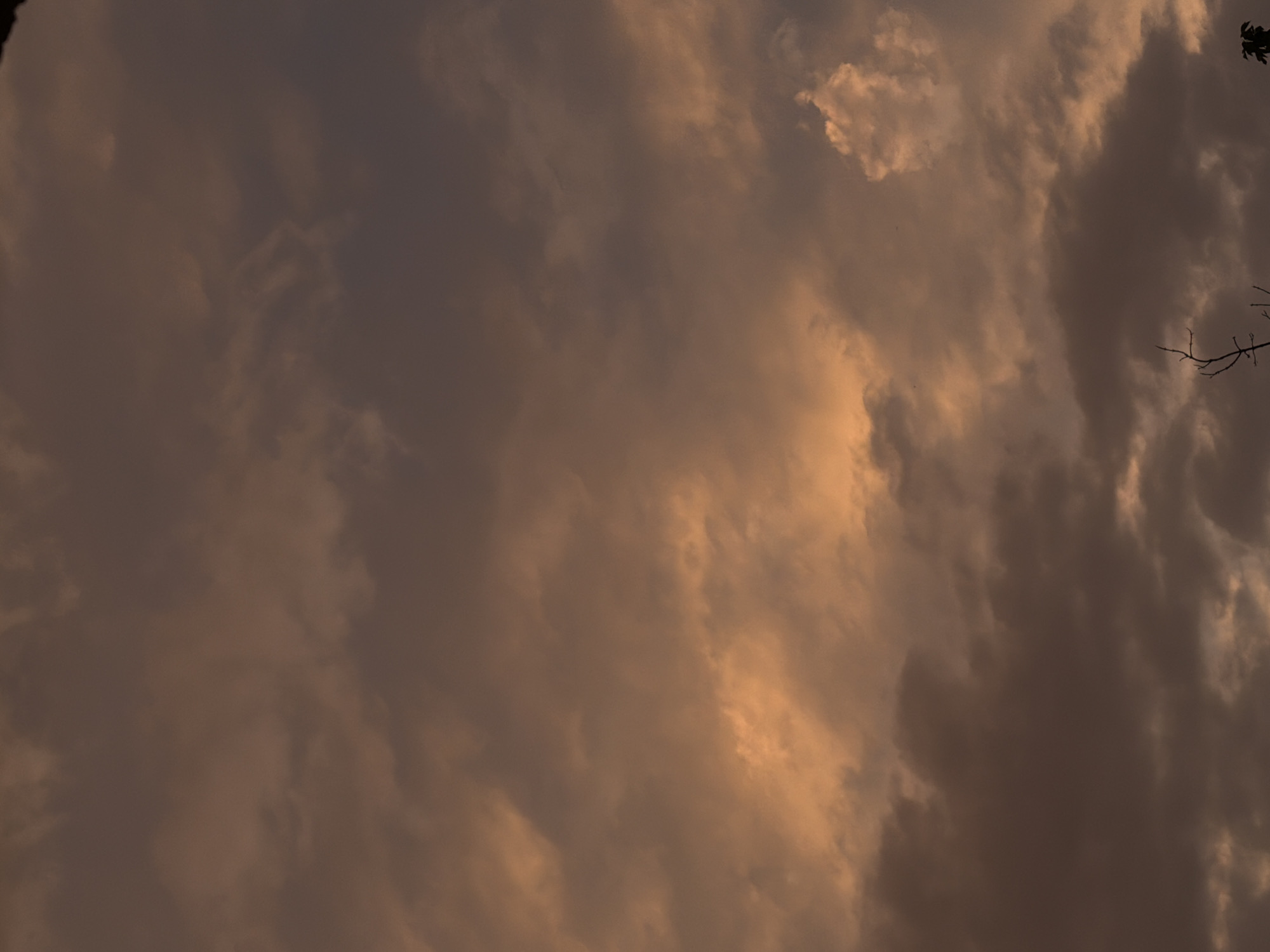 A photograph captures a dusky sky filled with clouds, tinged with orange and brown hues, suggesting either sunrise or sunset. The lower portion of the image shows the silhouetted branches of trees against the sky. No people or specific city landmarks are visible. The scene is consistent with an outdoor environment in Chirchik, Uzbekistan, during twilight hours.