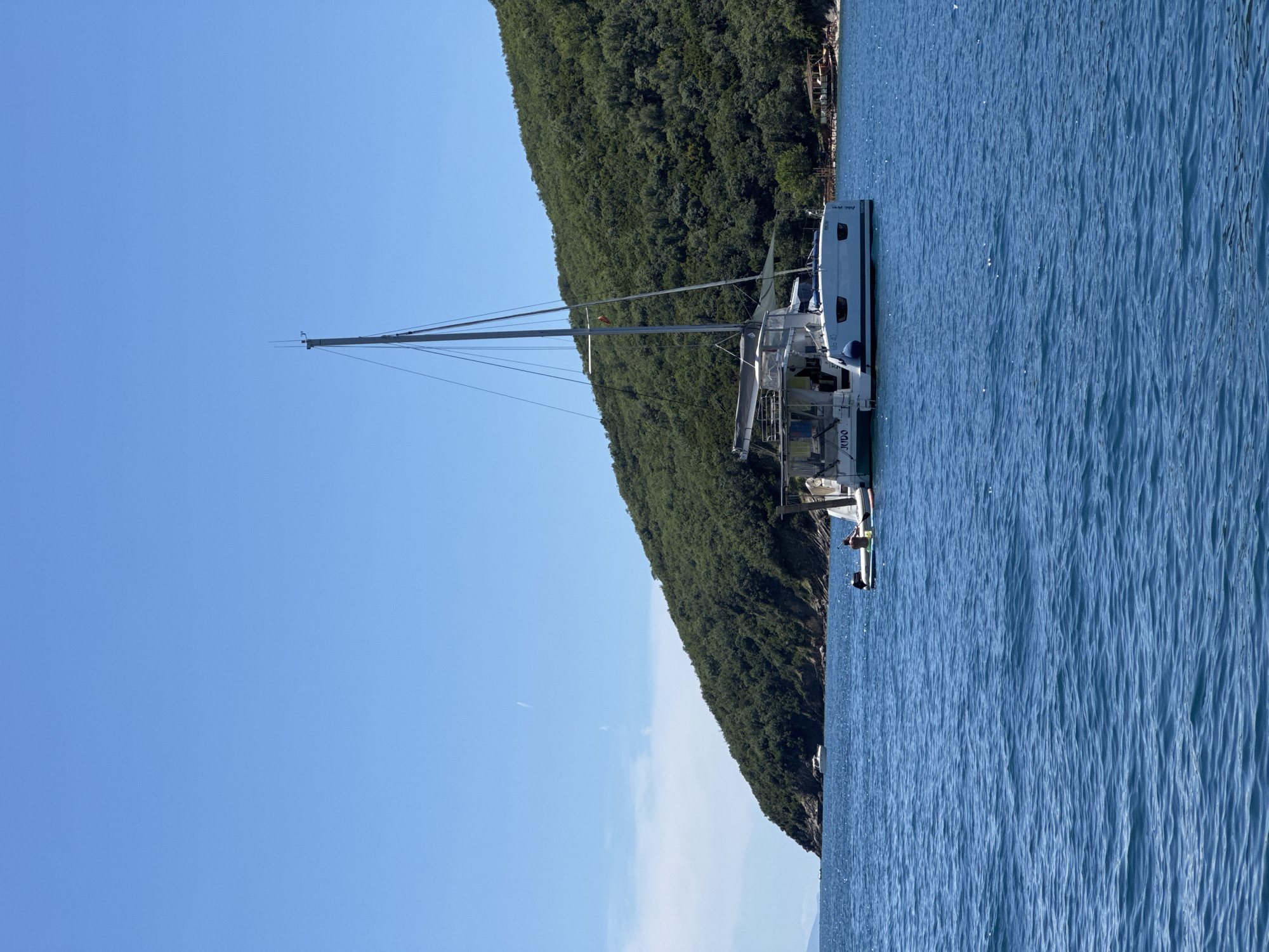 The image depicts a serene coastal scene, likely in Budva, Montenegro, under a clear blue sky. A white catamaran sailboat, named "JUDO," is anchored in calm, light blue water that displays gentle ripples across its surface. The boat features a prominent mast and rigging, standing tall against the bright sky. Attached to the stern of the catamaran is a small white dinghy, and a person is visible standing on a paddleboard next to the boat, suggesting leisure activity.
The background is dominated by a lush green, tree-covered hillside that forms the coastline, indicating a natural and verdant environment. The sky is largely cloudless, a brilliant clear blue, with a faint white contrail visible high up. The time of day appears to be bright daylight, possibly morning or early afternoon, given the clear illumination and the sun's reflection on the water. Visible text on the catamaran includes "JUDO" on its hull, and "9656" along with partially obscured "Nac" on the stern. The overall impression is one of tranquility and natural beauty.