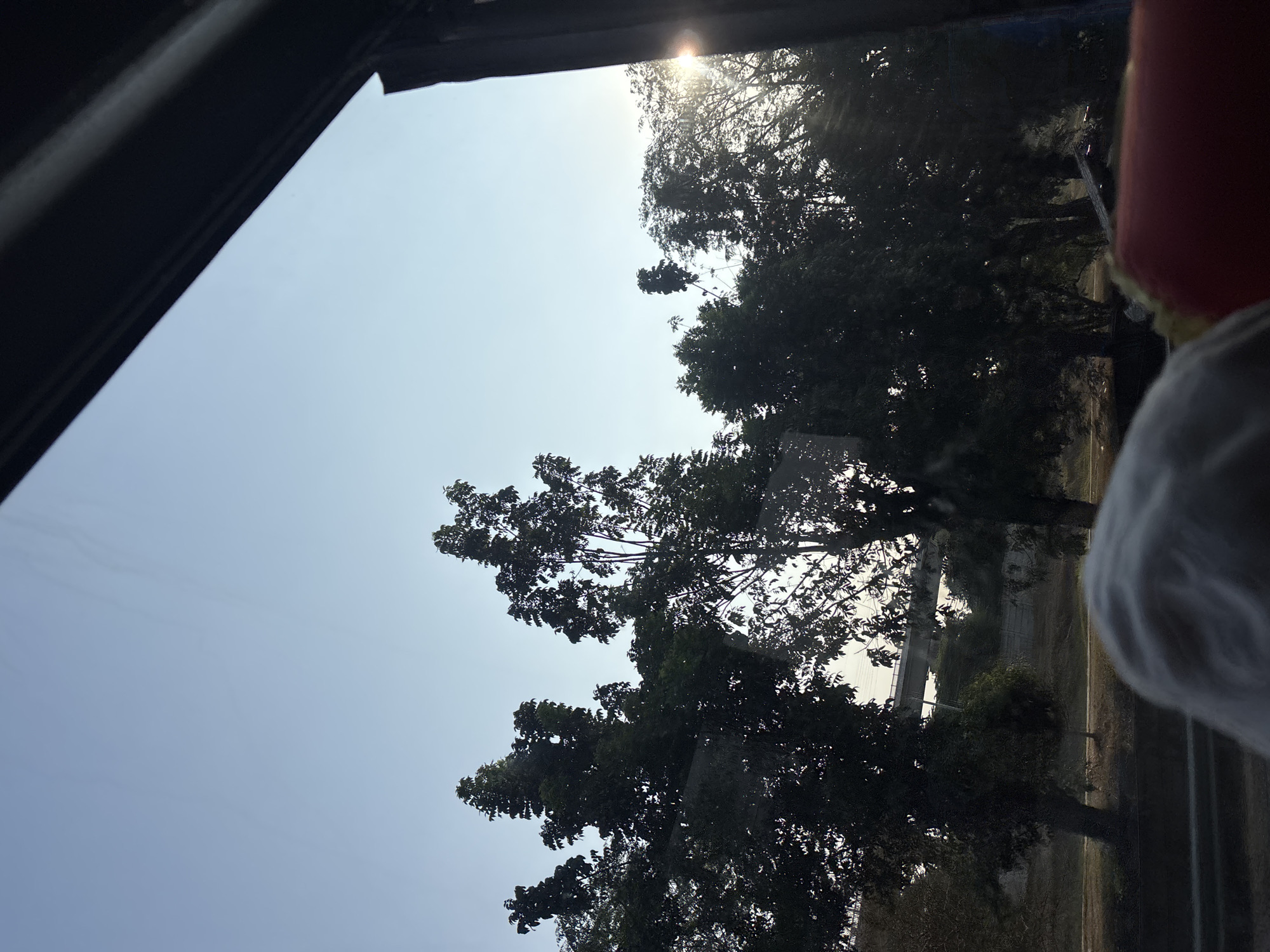 The image captures a view through a window, likely from a vehicle, showing a landscape dominated by trees against a clear, pale blue sky. The sun is visible on the right side of the frame, creating a lens flare and illuminating the branches of the trees, causing them to be silhouetted. In the background, a concrete bridge or overpass can be seen stretching across the scene. The foreground features the edge of a dark interior, possibly a car or bus, and a blurred portion of what appears to be a person's head or shoulder covered with a light-colored fabric, along with the corner of a red object. The overall impression is of a journey during daylight hours, with the natural environment prominent outside the window. The location in Hegarmukti, Indonesia, is not visually evident from the image itself.