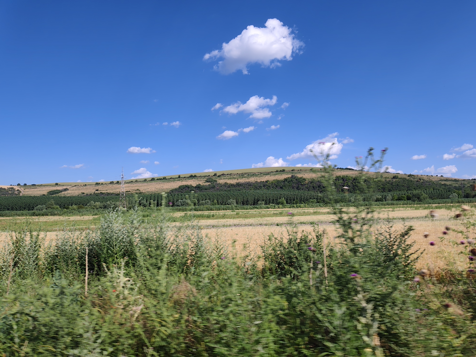 This media file depicts a scenic landscape on a bright, sunny day in Tatari, Bulgaria. The sky is a vibrant blue, dotted with fluffy white clouds. Rolling hills dominate the background, covered in patches of green trees and golden fields, suggesting a rural or agricultural setting. A prominent electrical tower stands on one of the hills, a man-made structure amidst the natural beauty. In the foreground, lush green vegetation, including wild plants and flowers with purple blossoms, is blurred, indicating movement, possibly from a vehicle. The overall impression is one of a tranquil summer day in the Bulgarian countryside. The time of day appears to be midday, given the bright sunlight and clear skies. There is no visible text in the image.