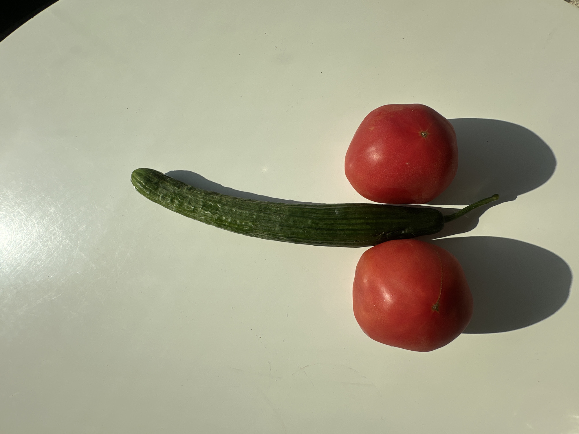 Set in an unspecified indoor or outdoor location within the city of Asenovgrad, Bulgaria, the scene captures three common vegetables arranged on a flat, light-colored surface. A single, elongated green cucumber is positioned vertically in the center of the frame. At its base, two round, ripe red tomatoes are placed horizontally, one on each side of the cucumber, creating a suggestive phallic arrangement. The surface, likely a table or countertop, appears white or off-white and shows visible scratches and minor imperfections, particularly towards the upper left. Strong, directional lighting, originating from the upper left quadrant, casts sharp, dark shadows of the vegetables onto the surface towards the lower right. The light highlights the textured, bumpy skin of the cucumber and the smooth, slightly glossy surface of the tomatoes. No people, other objects, or further environmental details are visible in the frame.