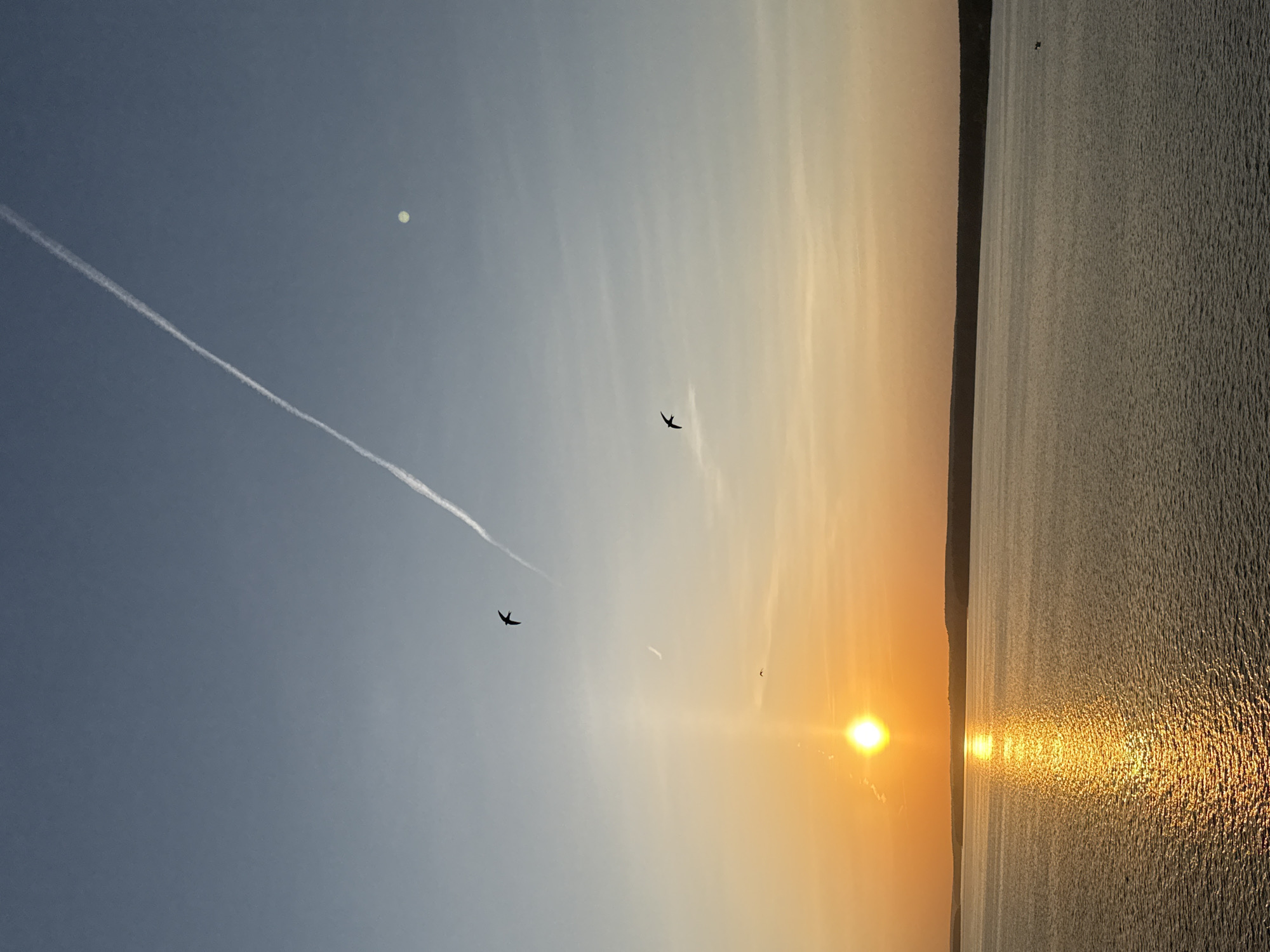 The image shows a sunrise over a body of water. Two birds are visible in silhouette against the sky. A contrail stretches across the upper left portion of the sky. The sun is reflecting off the water. The image appears to be rotated clockwise by 90 degrees. The location in the city of Votkinsk, Russia cannot be determined from this image.