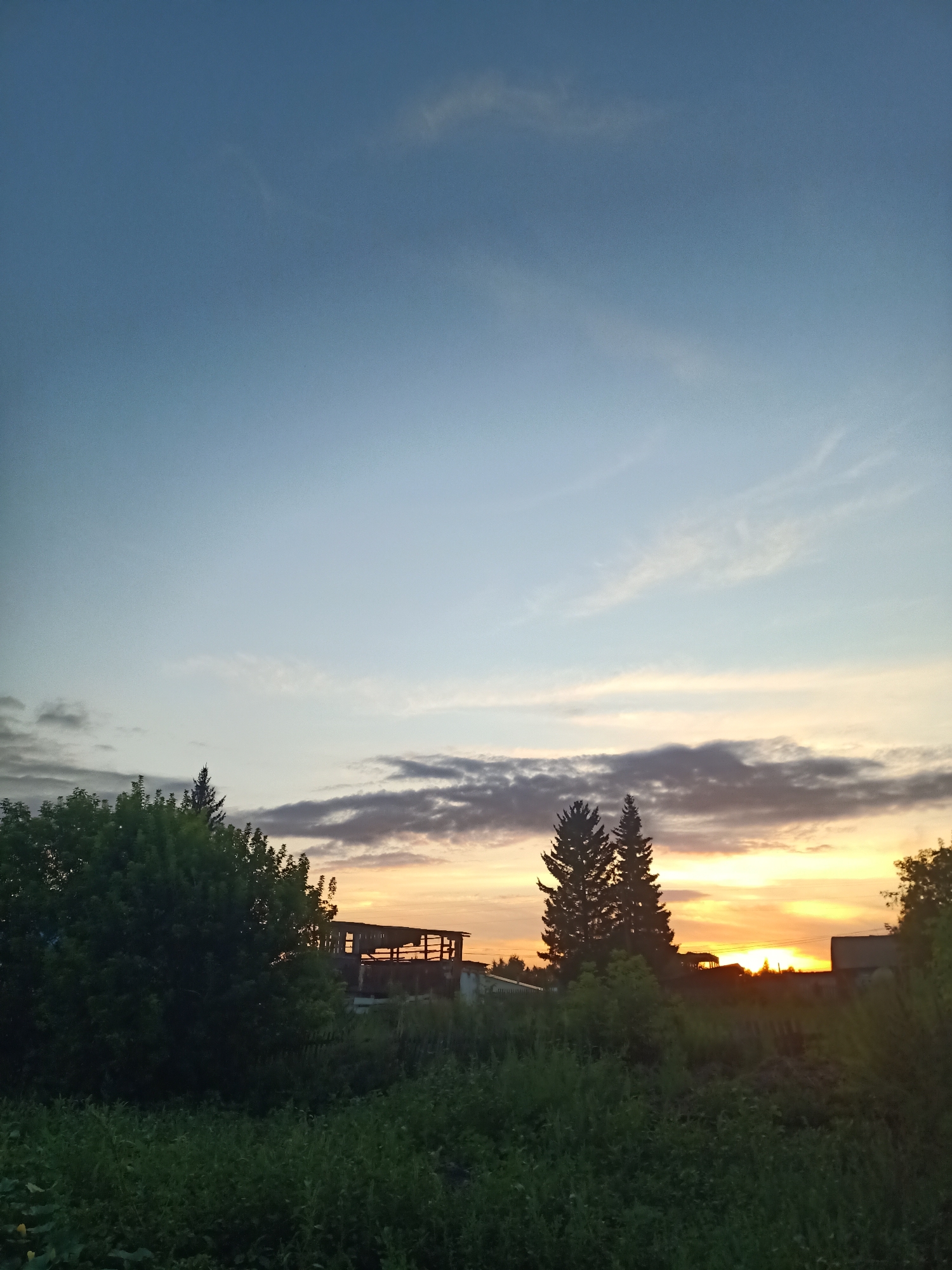 This is a vertical, eye-level, medium shot of a rural landscape at dusk. The sky transitions from a pale blue at the top to soft oranges and yellows near the horizon, with scattered, wispy clouds. In the foreground, a dense area of green grass and bushes occupies the bottom portion of the image. Silhouetted against the colorful sky are several trees, including two prominent evergreen trees in the center and a large deciduous tree on the left. Behind the trees, a rustic, wooden structure, possibly a shed or an unfinished building, is visible. The overall impression is of a serene, natural setting during sunset in the vicinity of Қатаркөл ауылдық округі, Kazakhstan. No people are present in the image.