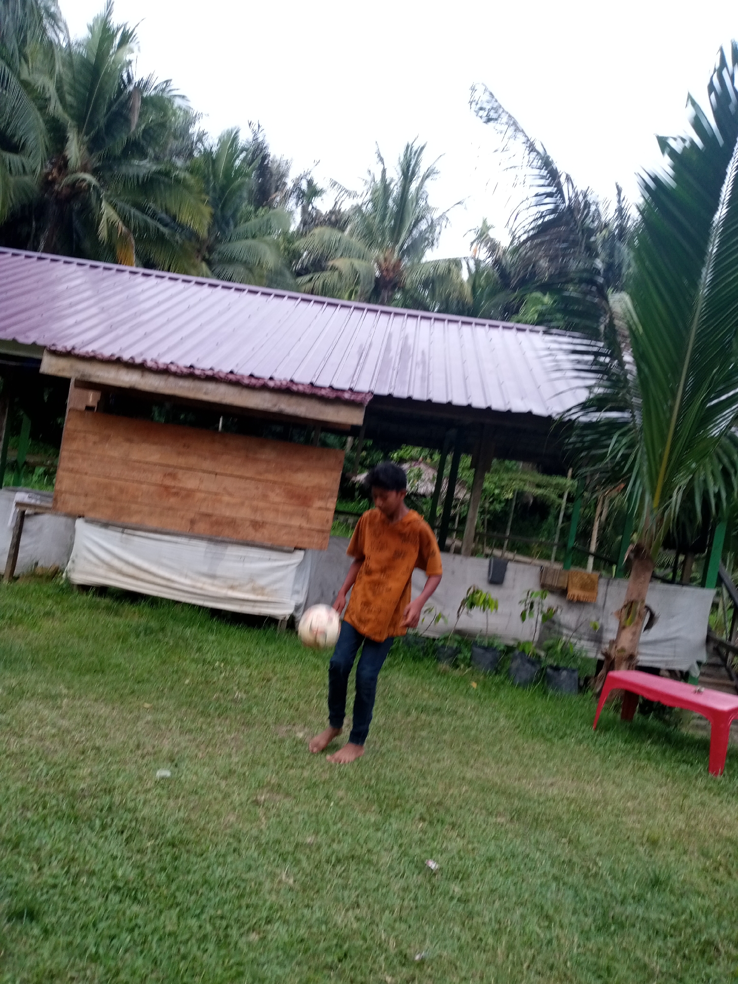 The image shows a young person playing soccer on a grassy field in what appears to be a rural or tropical setting. The person is wearing an orange t-shirt and dark pants. They are in the process of kicking a white soccer ball.
In the background, there is a building with a corrugated metal roof, possibly a shelter or small structure. This building has wooden paneling on the front. Beyond the building, lush green palm trees are visible, suggesting a tropical climate. The sky is overcast, indicating it might be a cloudy day or nearing dusk.
To the right of the frame, a bright red bench is placed on the grass. The ground is covered in green grass, with some scattered leaves or debris. The overall scene depicts a casual moment of recreation in an outdoor environment. The specific location cues like the palm trees and the architecture of the building suggest a Southeast Asian context, consistent with the provided location of Lhokseumawe, Indonesia. No visible text is present in the image. The activity is focused on the boy playing soccer, with a relaxed and informal atmosphere.