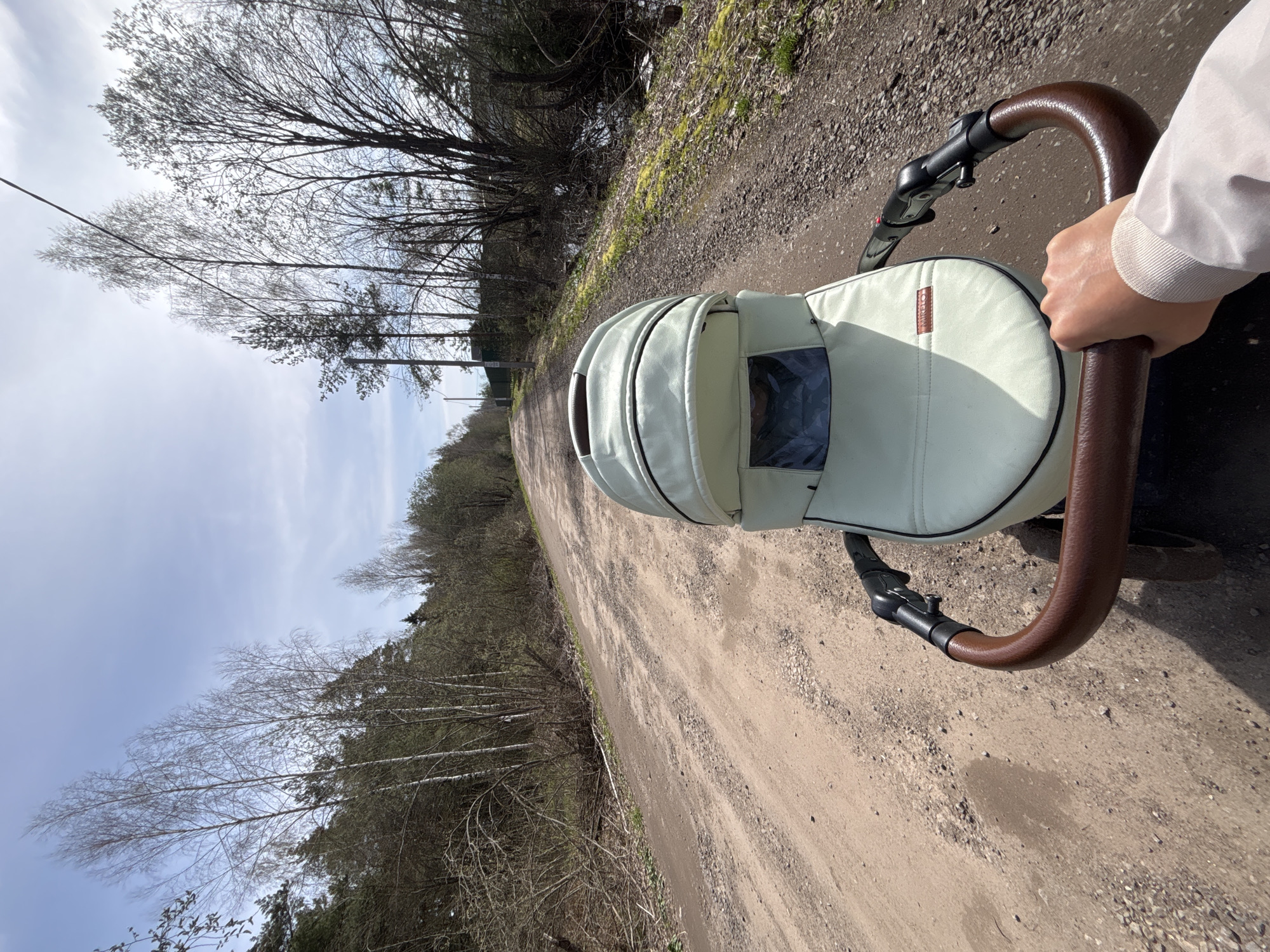 The image, taken from a first-person perspective and rotated counter-clockwise, shows a person pushing a light mint-green baby stroller along a wide, unpaved dirt and gravel road. The person's right hand, wearing a light-colored long-sleeved top, grips the brown faux-leather handle of the stroller. A small red label with the brand name "Ocarro" is visible on the side of the stroller's canopy.
The road stretches into the distance, flanked by a dense line of trees that are mostly bare, indicating early spring or late autumn. Some patches of green moss and dry vegetation are visible on the ground beside the road, suggesting natural surroundings. The sky above is partly cloudy, with bright natural light illuminating the scene, implying it is daytime. On the left side of the path, a darker area might be a ditch or a small body of water. The overall setting is rural or semi-rural, consistent with a walk in the natural landscape of Раздолье, Russia. The activity is a peaceful stroll, conveying a sense of routine and connection with nature.